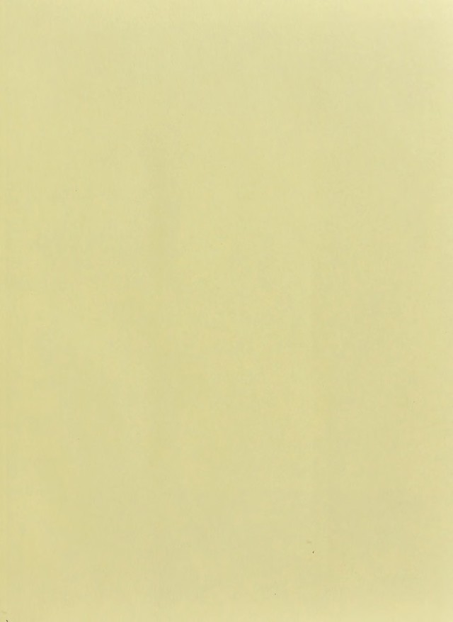 digitised image 3