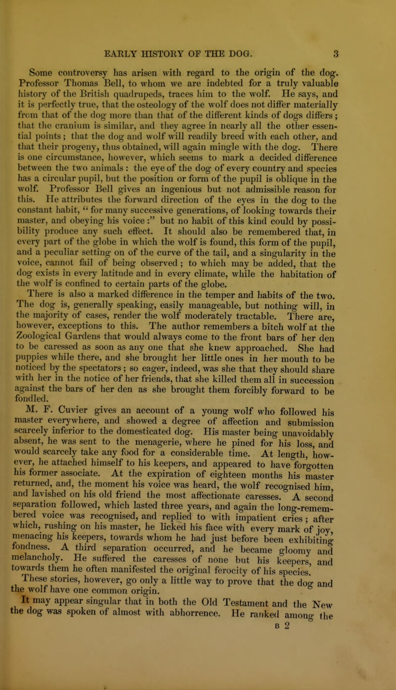Some controversy has arisen with regard to the origin of the dog. Professor Thomas Bell, to whom we are indebted for a truly valuable history of the British quadrupeds, traces him to the wolf. He says, and it is perfectly true, that the osteology of the wolf does not differ materially from that of the dog more than that of the different kinds of dogs differs ; that the cranium is similar, and they agree in nearly all the other essen- tial points; that the dog and wolf will readily breed with each other, and that their progeny, tluis obtained, will again mingle with the dog. There is one circumstance, however, which seems to mark a decided difference between the two animals : the eye of the dog of every country and species has a circular pupil, but the position or form of the pupil is oblique in the wolf. Professor Bell gives an ingenious but not admissible reason for this. He attributes the forward direction of the eyes in the dog to the constant habit,  for many successive generations, of looking towards their master, and obeying his voice: but no habit of this kind could by possi- bility produce any such effect. It should also be remembered that, in every part of the globe in which the wolf is found, this form of the pupil, and a peculiar setting on of the curve of the tail, and a singularity in the voice, cannot fail of being observed; to which may be added, that the dog exists in every latitude and in every climate, while the habitation of the Avolf is confined to certain parts of the globe. There is also a marked difference in the temper and habits of the two. The dog is, generally speaking, easily manageable, but nothing will, in the majority of cases, render the wolf moderately tractable. There are, however, exceptions to this. The author remembers a bitch wolf at the Zoological Gardens that would always come to the front bars of her den to be caressed as soon as any one that she knew approached. She had puppies while there, and she brought her little ones in her mouth to be noticed by the spectators ; so eager, indeed, was she that they should share with her in the notice of her friends, that she killed them all in succession against the bars of her den as she brought them forcibly forward to be fondled. M. F. Cuvier gives an account of a young wolf who followed his master everywhere, and showed a degree of affection and submission scarcely inferior to the domesticated dog. His master being unavoidably absent, he was sent to the menagerie, where he pined for his loss, and would scarcely take any food for a considerable time. At length, how- ever, he attached himself to his keepers, and appeared to have forgotten his former associate. At the expiration of eighteen months his master returned, and, the moment his voice was heard, the wolf recognised him and lavished on his old friend the most affectionate caresses. A second separation followed, which lasted three years, and again the long-remem- bered voice was recognised, and replied to with impatient cries ; after which, rushing on his master, he licked his face with every mark of joy menacing his keepers, towards whom he had just before been exhibiting fondness. A third separation occurred, and he became gloomy and melancholy. He suffered the caresses of none but his keepers and tovvards them he often manifested the original ferocity of his species.' These stories, however, go only a little way to prove that the dog and the wolf have one common origin. It may appear singular that in both the Old Testament and the New the dog was spoken of almost with abhorrence. He ranked among the B 2