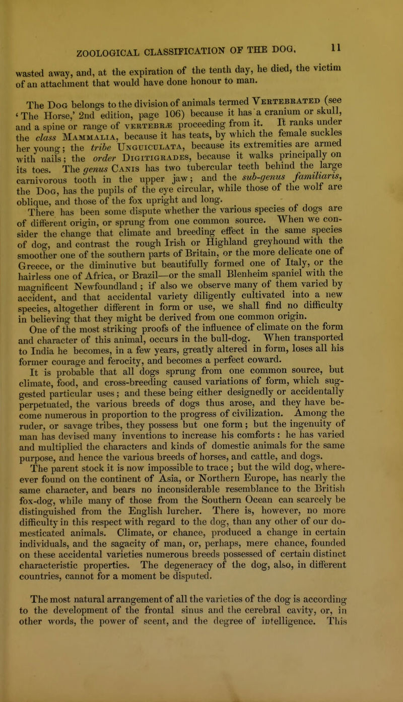 ZOOLOGICAL CLASSIFICATION OF THE DOG, H wasted away, and, at the expiration of the tenth day, he died, the victim of an attachment that would have done honour to man. The Dog belongs to the division of animals termed Vertebrated (see 'The Horse,'2nd edition, page 106) because it has a cranium or skull, and a spine or range of vkrtebk^ proceeding from it. It ranks under the class Mammalia, because it has teats, by which the female suckles her young; the tribe Unguiculata, because its extremities are armed with nails; the order Digitigrades, because it walks principally on its toes. The genus Canis has two tubercular teeth behind the large carnivorous tooth in the upper jaw; and the sub-genus familmris, the Dog, has the pupils of the eye circular, while those of the wolt are oblique, and those of the fox upright and long. There has been some dispute whether the various species ot dogs are of different origin, or sprung from one common source. When we con- sider the change that climate and breeding effect in the same species of dog, and contrast the rough Irish or Highland greyhound with the smoother one of the southern parts of Britain, or the more delicate one of Greece, or the diminutive but beautifully formed one of Italy, or the hairless one of Africa, or Brazil—or the small Blenheim spaniel with the magnificent Newfoundland ; if also we observe many of them varied by accident, and that accidental variety diligently cultivated into a new species, altogether different in form or use, we shall find no difficulty in believing that they might be derived from one common origin. One of the most striking proofs of the influence of climate on the form and character of this animal, occurs in the bull-dog. When transported to India he becomes, in a few years, greatly altered in form, loses all his former courage and ferocity, and becomes a perfect coward. It is probable that all dogs sprung from one common source, but climate, food, and cross-breeding caused variations of form, which sug- gested particular uses; and these being either designedly or accidentally perpetuated, the various breeds of dogs thus arose, and they have be- come numerous in proportion to the progress of civilization. Among the ruder, or savage tribes, they possess but one form ; but the ingenuity of man has devised many inventions to increase his comforts : he has varied and multiplied the characters and kinds of domestic animals for the same purpose, and hence the various breeds of horses, and cattle, and dogs. The parent stock it is now impossible to trace; but the wild dog, where- ever found on the continent of Asia, or Northern Europe, has nearly the same character, and bears no inconsiderable resemblance to the British fox-dog, while many of those from the Southern Ocean can scarcely be distinguished from the English lurcher. There is, however, no more difficulty in this respect with regard to the dog, than any other of our do- mesticated animals. Climate, or chance, produced a change in certain individuals, and the sagacity of man, or, perhaps, mere chance, founded on these accidental varieties numerous breeds possessed of certain distinct characteristic properties. The degeneracy of the dog, also, in different countries, cannot for a moment be disputed. The most natural arrangement of all the varieties of the dog is according to the development of the frontal sinus and the cerebral cavity, or, in other words, the power of scent, and the degree of intelligence. Tliis