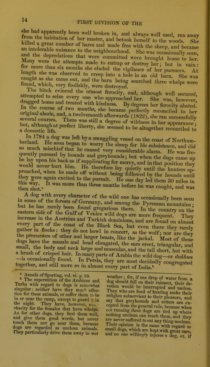 t'nf the'h^hlnr ^ ^f'? ^^ ^^^^3^^ ran away an ntotp?nhf ^ ^fu'^ ^^^^ ^^^^ ^^'^^'^ ^lie sheep, and became and thl Tr'\u ^>g''bom-hood. She was occasionally seen, and the depredations that were committed were brought home to her Many were the attempts made to entrap or destroy he?, bnt in vain for more than six months she eluded the vigilance of her pursuers At length she was observed to creep into a hole in an old bara sL wt S 'V!.' ,7^ '^'^ ««^rched three whelp were found, which, very foolishly, were destroyed. ^ 1 he bitch evinced the utmost ferocity, and, althou-h well secured attempted to seize every one who approached her. Shf wL however' coursrof llT' 1? 'T'r- ferocky aS: in the course of two months, she became perfectly reconciled to her seS'court ''^^Ti^' f ™Ml822)^he i.n succeSfu y ^Z it u \ 5^^® 7^ ^ ^^g^ee of wildness in her appearance • ^d;mestic1^^^^^^ ^-^^ ^^^^^^^'^^ reS to berlan^/^^ni^''^ T ^ ^'g&ling vessel on the coast of Northum- so mucii ^schie?ttf ^ '7 '''^ subsistence, and did m,.nfi '''^^f he caused very considerable alarm. Pie was fre- he lav^^^rrW'/' ^ greyhounds; but when the dogs cin e up wouS nfver hurt tim ^^^PP -*V^f- -e-Y. and in that po^sition the^ wouia never nurt him. He therefore lay qu etly until the hunters nn- proached, when he made off without being followed by the hounds untH they ^vere again excited to the pursuit. H% one day led them sS m les in ^ A dog with every character of the wild one has occasionally been seen ZrZ\t  and among the Pyrenean mounta ns but he has rarely been found gregarious there. In the country on thp eastern side of the Gulf of Ven'ice'wild dogs are more frequent They increase m the Austrian and Turkish dominions, and are found on almost every part of the coast of the Black Sea, but even there thTy rriv ^ther m flocks: they do not howl in concert, as the wolf; nor Jre they the precursors of other and larger beasts, like the jackal. Most of these s3l ti: t^d^'d' 1^^^ '^T^''''^ ^^^^t' trianguL, and small, the body and neck large and muscular, and the tail short, but with a brush of crisped hair. In many parts of Arabia the wild dog-or dakh\m --IS occasionally found. In Persia, they are most decidedly congregated together, and still more so in almost every part of India.' S^e^aiea * Annals of Sporting, vol. vi. p. 99. weather • for 5 fnTi<:> ,1^^t, * /. T„rlc?'r^^'*r.¥^^^^''^^^ Chou'l/'f::u?n^he^^^^^^^^^ Turks with regard to dogs is somewhat votion would be interrunted n,;^ i singular: neither have they muc^^ affec- They who are fond of Ein/^ i, I''''- tion for these animals, or su4r them to be religin subservient Jo SKur^ and Z\Zu S^'-^^ '° that greyhounds and seSre ex the night. They have, however, sua. cepted from the general rnlo hZLf i! charity for the females that have whelps. no? running these doS lirt^H 1^^'' tVZ '^'r !f^^ ''f '^'^ -thingTnfirarcan SacTthem ^Edlhev and give them good words, but never are never suffered tn P^t «r..,+v touch them nor go near them, because Th^e^r'^^in^t^fs^wre^wt^^^^ dogs are regarded as unclean animals. small dogs, which are kent with Vrif They particularly drive them away in wet and no o^n^ wUHnJi; ^rS? foTo'Tf