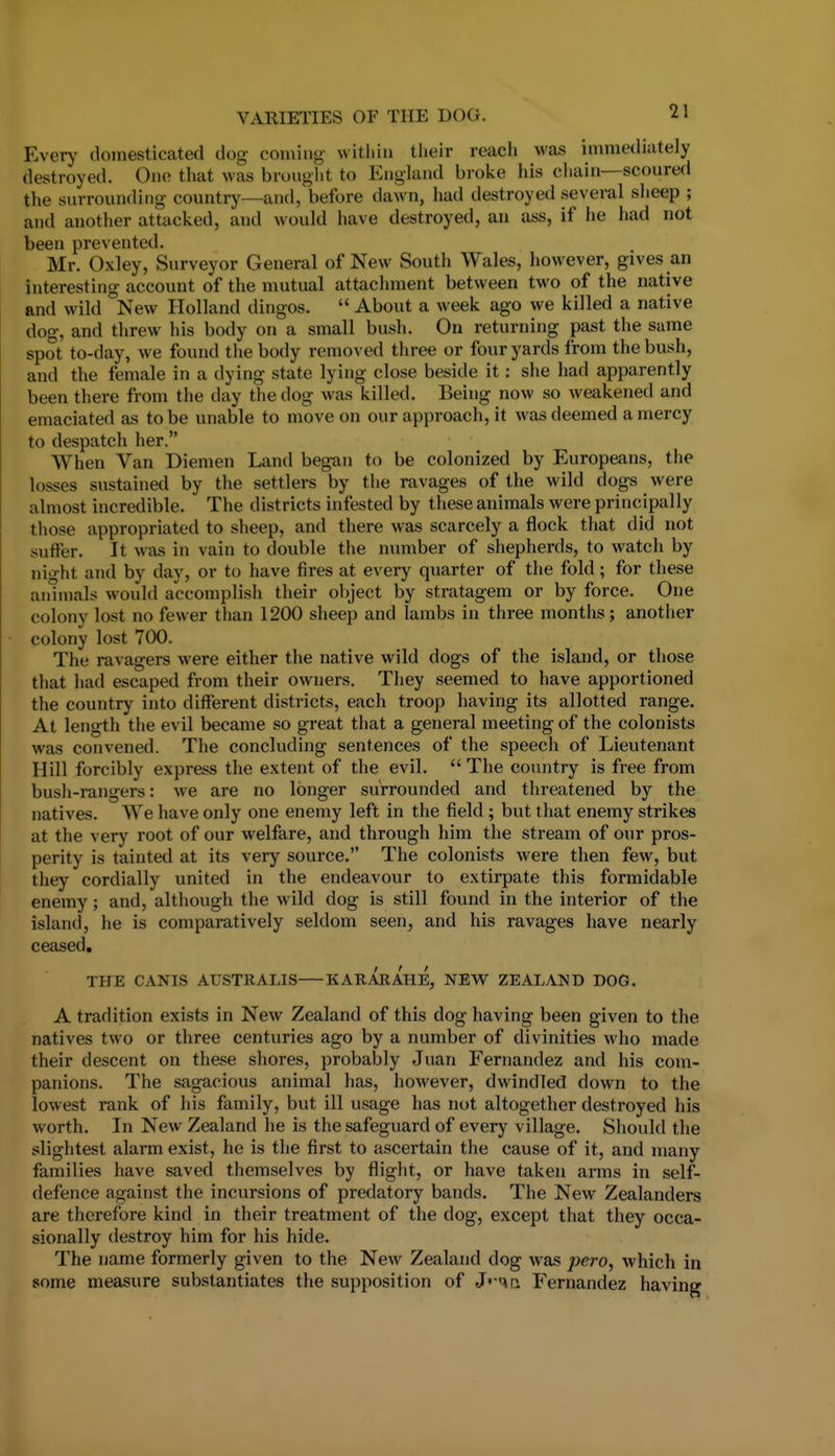 Every domesticated dog coming witiiin tlieir reacii was inmiediately destroyed. One; that was brought to England broke his chain—scoured the surrounding country—and, before dawn, had destroyed several sheep ; and another attacked, and would have destroyed, an ass, if he had not been prevented. Mr. Oxley, Surveyor General of New South Wales, however, gives an interesting account of the mutual attachment between two of the native and wild New Holland dingos.  About a week ago we killed a native dog, and threw his body on a small bush. On returning past the same spot to-day, we found the body removed three or four yards from the bush, and the female in a dying state lying close beside it: she had apparently been there from the day the dog was killed. Being now so weakened and emaciated as to be unable to move on our approach, it was deemed a mercy to despatch her. When Van Diemen Land began to be colonized by Europeans, the losses sustained by the settlers by the ravages of the wild dogs were almost incredible. The districts infested by these animals were principally those appropriated to sheep, and there was scarcely a flock that did not suffer. It was in vain to double the number of shepherds, to watch by night and by day, or to have fires at every quarter of the fold ; for these animals would accomplish their object by stratagem or by force. One colony lost no fewer than 1200 sheep and lambs in three months; another colony lost 700. The ravagers were either the native wild dogs of the island, or those that had escaped from their owners. They .seemed to have apportioned the country into different districts, each troop having its allotted range. At length the evil became so great that a general meeting of the colonists was convened. The concluding sentences of the speech of Lieutenant Hill forcibly express the extent of the evil.  The country is free from bush-rangers: we are no longer surrounded and threatened by the natives. We have only one enemy left in the field ; but that enemy strikes at the very root of our welfare, and through him the stream of our pros- perity is tainted at its very source. The colonists were then few, but they cordially united in the endeavour to extirpate this formidable enemy; and, although the wild dog is still found in the interior of the island, he is comparatively seldom seen, and his ravages have nearly ceased, THE CANIS AUSTRALIS KARARAHE, NEW ZEALAND DOG. A tradition exists in New Zealand of this dog having been given to the natives two or three centuries ago by a number of divinities who made their descent on these shores, probably Juan Fernandez and his com- panions. The sagacious animal has, however, dwindled down to the lowest rank of his family, but ill usage has not altogether destroyed his worth. In New Zealand he is the safeguard of every village. Should the slightest alarm exist, he is the first to ascertain the cause of it, and many families have saved themselves by flight, or have taken arms in self- defence against the incursions of predatory bands. The New Zealanders are therefore kind in their treatment of the dog, except that they occa- sionally destroy him for his hide. The name formerly given to the New Zealand dog was pero, which in some measure substantiates the supposition of J'^mi Fernandez having