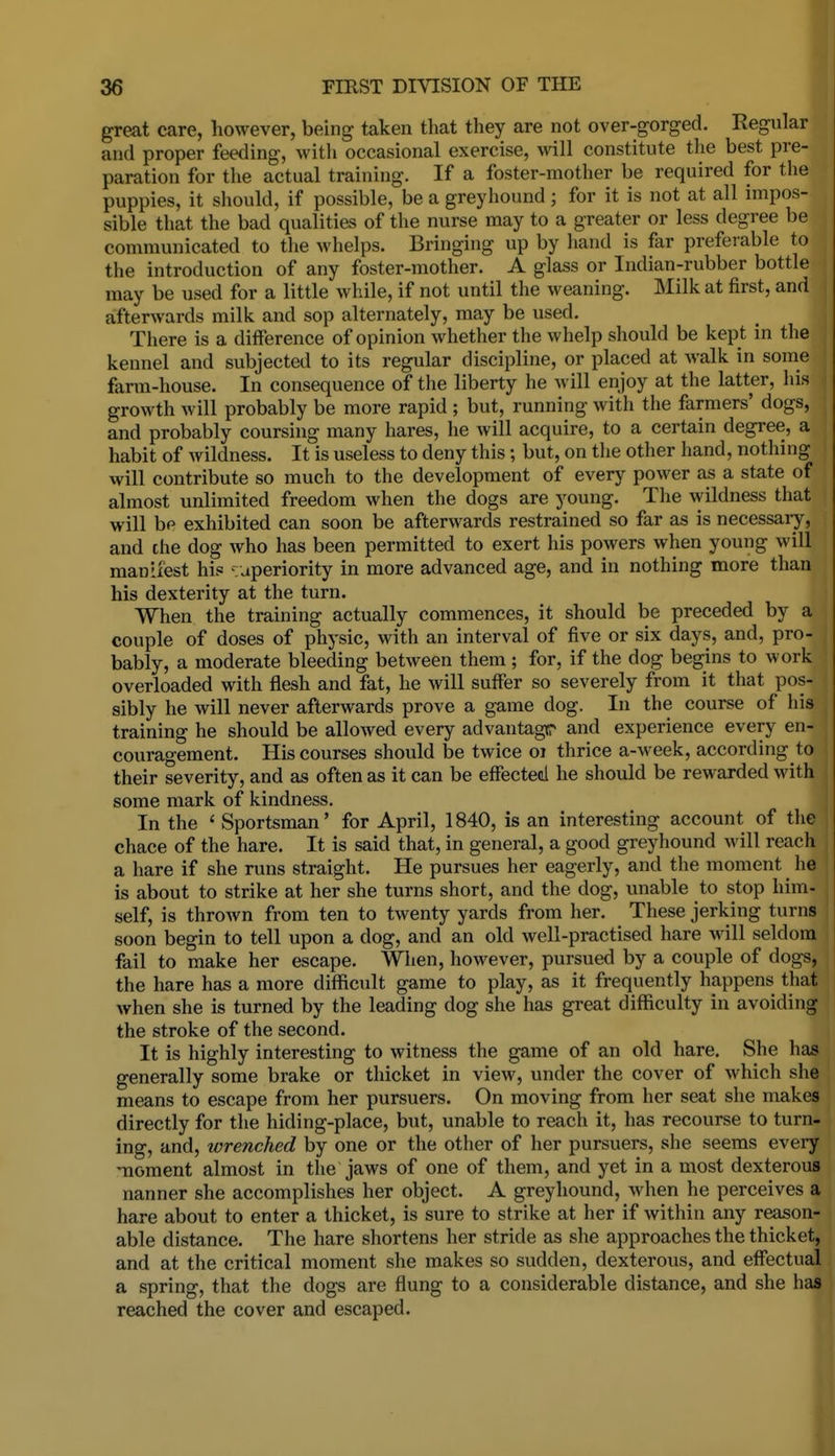 great care, however, being taken that they are not over-gorged. Regular and proper feeding, with occasional exercise, will constitute the best pre- paration for the actual training. If a foster-mother be required for the puppies, it should, if possible, be a greyhound ; for it is not at all impos- sible that the bad qualities of the nurse may to a greater or less degree be communicated to the whelps. Bringing up by hand is far preferable to the introduction of any foster-mother. A glass or Indian-rubber bottle may be used for a little while, if not until the weaning. Milk at first, and afterwards milk and sop alternately, may be used. There is a difference of opinion whether the whelp should be kept in the kennel and subjected to its regular discipline, or placed at Avalk in some farm-house. In consequence of the liberty he will enjoy at the latter, his growth will probably be more rapid ; but, running with the farmers' dogs, and probably coursing many hares, he will acquire, to a certain degree, a habit of Avildness. It is useless to deny this; but, on the other hand, nothing will contribute so much to the development of every power as a state of almost unlimited freedom when the dogs are young. The wildness that will bp exhibited can soon be afterwards restrained so far as is necessary, and the dog who has been permitted to exert his powers when young will manliest his - aperiority in more advanced age, and in nothing more than his dexterity at the turn. When the training actually commences, it should be preceded by a couple of doses of physic, with an interval of five or six days, and, pro- bably, a moderate bleeding between them ; for, if the dog begins to work overloaded with flesh and fat, he will suffer so severely from it that pos- sibly he will never afterwards prove a game dog. In the course of his training he should be allowed every advantage and experience every en- couragement. His courses should be twice oi thrice a-week, according to their severity, and as often as it can be effected he should be rewarded with some mark of kindness. In the ' Sportsman' for April, 1840, is an interesting account of the chace of the hare. It is said that, in general, a good greyhound ^vil\ reach a hare if she runs straight. He pursues her eagerly, and the moment he is about to strike at her she turns short, and the dog, unable to stop him- self, is thrown from ten to twenty yards from her. These jerking turns soon begin to tell upon a dog, and an old well-practised hare will seldom fail to make her escape. When, however, pursued by a couple of dogs, the hare has a more diflficult game to play, as it frequently happens that when she is turned by the leading dog she has great diflftculty in avoiding the stroke of the second. It is highly interesting to witness the game of an old hare. She has generally some brake or thicket in view, under the cover of which she means to escape from her pursuers. On moving from her seat she makes directly for the hiding-place, but, unable to reach it, has recourse to turn- ing, and, wrenched by one or the other of her pursuers, she seems every moment almost in the jaws of one of them, and yet in a most dexterous nanner she accomplishes her object. A greyhound, when he perceives a hare about to enter a thicket, is sure to strike at her if within any reason- able distance. The hare shortens her stride as she approaches the thicket, and at the critical moment she makes so sudden, dexterous, and effectual a spring, that the dogs are flung to a considerable distance, and she has reached the cover and escaped.