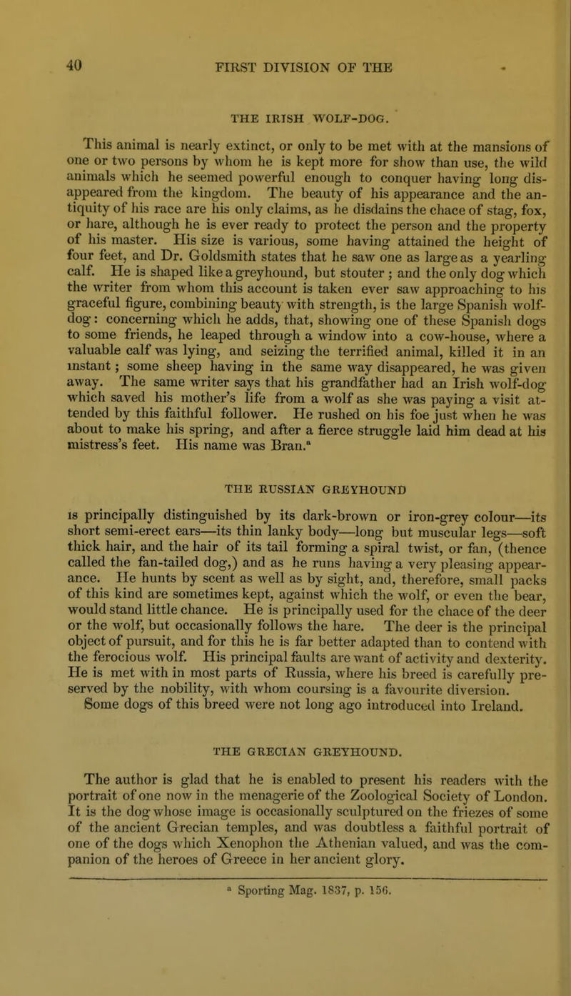 THE IRISH WOLF-DOG. This animal is nearly extinct, or only to be met with at the mansions of one or two persons by whom he is kept more for show than use, the wild animals which he seemed powerful enough to conquer having- long dis- appeared from the kingdom. The beauty of his appearance and the an- tiquity of his race are his only claims, as he disdains the chace of stag, fox, or hare, although he is ever ready to protect the person and the property of his master. His size is various, some having attained the height of four feet, and Dr. Goldsmith states that he saw one as large as a yearling calf He is shaped like a greyhound, but stouter ; and the only dog which the writer from whom this account is taken ever saw approaching to his graceful figure, combining beauty with strength, is the large Spanish wolf- dog : concerning which he adds, that, showing one of these Spanish dogs to some friends, he leaped through a window into a cow-house, where a valuable calf was lying, and seizing the terrified animal, killed it in an instant; some sheep having in the same way disappeared, he was given away. The same writer says that his grandfatlier had an Irish wolf-dog which saved his mother's life from a wolf as she was paying a visit at- tended by this faithful follower. He rushed on his foe just when he was about to make his spring, and after a fierce struggle laid him dead at his mistress's feet. His name was Bran.* THE RUSSIAN GREYHOUND IS principally distinguished by its dark-brown or iron-grey colour—its short semi-erect ears—its thin lanky body—long but muscular legs—soft thick hair, and the hair of its tail forming a spiral twist, or fan, (thence called the fan-tailed dog,) and as he runs having a very pleasing appear- ance. He hunts by scent as well as by sight, and, therefore, small packs of this kind are sometimes kept, against which the wolf, or even the bear, would stand little chance. He is principally used for the chace of the deer or the wolf, but occasionally follows the hare. The deer is the principal object of pursuit, and for this he is far better adapted than to contend with the ferocious wolf His principal faults are want of activity and dexterity. He is met with in most parts of Russia, where his breed is carefully pre- served by the nobility, with whom coursing is a favourite diversion. Some dogs of this breed were not long ago introductil into Ireland. THE GRECIAN GREYHOUND. The author is glad that he is enabled to present his readers with the portrait of one now in the menagerie of the Zoological Society of London. It is the dog whose image is occasionally sculptured on the friezes of some of the ancient Grecian temples, and was doubtless a faithful portrait of one of the dogs which Xenophon the Athenian valued, and was the com- panion of the heroes of Greece in her ancient glory. * Sporting Mag. 1837, p. 156.