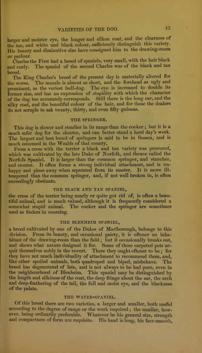 larger and moister eye, the longer and silken coat, and the clearness of the^tan, and white and black colour, sufficiently distinguish this variety. His beauty and diminutive size have consigned him to the drawing-room or parlour. , . ui i Charles the First had a breed of spaniels, very small, with the hair black and curly. The spaniel of the second Charles was of the black and tan breed. The King Charles's breed of the present day is materially altered for the worse. The muzzle is almost as sliort, and the forehead as ugly and prominent, as the veriest bull-dog. The eye is increased to double its former size, and has an expression of stupidity with which the character of the dog too accurately corresponds. Still there is the long ear, and the silky coat, and the beautiful colour of the hair, and for tliese the dealers do not scruple to ask twenty, thirty, and even fifty guineas. THE SPRINGER. This dog is slower and steadier in its range than the cocker; but it is a much safer dog for the shooter, and can better stand a hard day's work. The largest and best breed of springers is said to be in Sussex, and is much esteemed in the Wealds of that county. From a cross with the terrier a black and tan variety was procured, which was cultivated by the late Duke of Norfolk, and thence called the Norfolk Spaniel. It is larger than the common springer, and stancher, and stouter. It often forms a strong individual attachment, and is un- happy and pines away when separated from its master. It is more ill- tempered than the common springer, and, if not well broken in, is often exceedingly obstinate. THE BLACK AND TAN SPANIEL, the cross of the terrier being nearly or quite got rid of, is often a beau- tiful animal, and is much valued, although it is frequently considered a somewhat stupid animal. The cocker and the springer are sometimes used as finders in coursing. THE BLENHEIM SPANIEL, a breed cultivated by one of the Dukes of Marlborough, belongs to this division. From its beauty, and occasional gaiety, it is oftener an inha- bitant of the drawing-room than the field ; but it occasionally breaks out, and shows what nature designed it for. Some of these carpeted pets ac- quit themselves nobly in the covert. There they ought oftener to be ; for they have not much individuality of attachment to recommend them, and, like other spoiled animals, both quadruped and biped, misbehave. The breed has degenerated of late, and is not always to be had pure, even in the neighbourhood of Blenheim. This spaniel may be distinguished by the length and silkiness of the coat, the deep fringe about the ear, the arch and deep-feathering of the tail, the full and moist eye, and the blackness of the palate. THE WATER-SPANIEL. Of this breed there are two varieties, a larger and smaller, both useful according to the degree of range or the work required ; the smaller, how- ever, being ordinarily preferable. Whatever be his general size, strength and compactness of form are requisite. His head is long, his face smooth.