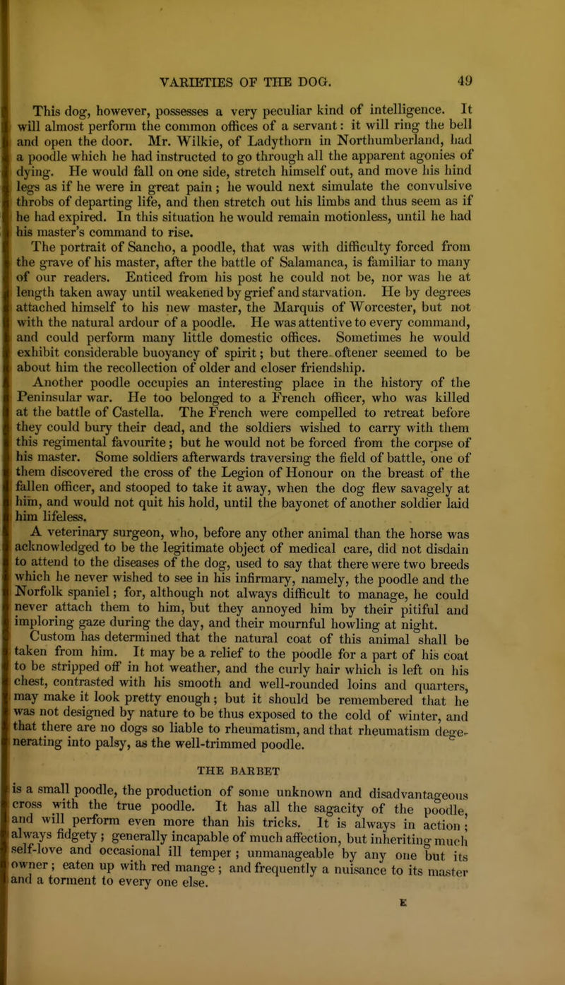 This dog, however, possesses a very peculiar kind of intelligence. It will almost perfonn the common offices of a servant: it will ring the bell and open the door. Mr. Wilkie, of Ladythorn in Northumberland, had a poodle which he had instructed to go through all the apparent agonies of dying. He would fall on one side, stretch himself out, and move his hind legs as if he were in great pain; he would next simulate the convulsive throbs of departing life, and then stretch out his limbs and thus seem as if he had expired. In this situation he would remain motionless, until he had his master's command to rise. The portrait of Sancho, a poodle, that was with difficulty forced from the grave of his master, after the battle of Salamanca, is familiar to many of our readers. Enticed from his post he could not be, nor was he at length taken away until weakened by grief and starvation. He by degrees attached himself to his new master, the Marquis of Worcester, but not with the natural ardour of a poodle. He was attentive to every command, and could perform many little domestic offices. Sometimes he would exhibit considerable buoyancy of spirit; but there.oftener seemed to be about him the recollection of older and closer friendship. Another poodle occupies an interesting place in the history of the I Peninsular war. He too belonged to a French officer, who was killed at the battle of Castella. The French were compelled to retreat before they could bury their dead, and the soldiers wished to carry with them this regimental favourite; but he would not be forced from the corpse of his master. Some soldiers afterwards traversing the field of battle, one of them discovered the cross of the Legion of Honour on the breast of the fallen officer, and stooped to take it away, when the dog flew savagely at him, and would not quit his hold, until the bayonet of another soldier laid him lifeless. A veterinary surgeon, who, before any other animal than the horse was acknowledged to be the legitimate object of medical care, did not disdain to attend to the diseases of the dog, used to say that there were two breeds which he never wished to see in his infirmary, namely, the poodle and the Norfolk spaniel; for, although not always difficult to manage, he could never attach them to him, but they annoyed him by their pitiful and imploring gaze during the day, and their mournful howling at night. Custom has determined that the natural coat of this animal shall be taken from him. It may be a relief to the poodle for a part of his coat to be stripped off in hot weather, and the curly hair which is left on his I chest, contrasted with his smooth and well-rounded loins and quarters, may make it look pretty enough; but it should be remembered that he was not designed by nature to be thus exposed to the cold of winter, and that there are no dogs so liable to rheumatism, and that rheumatism dege- nerating into palsy, as the well-trimmed poodle. THE BARBET is a small poodle, the production of some unknown and disadvantageous cross with the true poodle. It has all the sagacity of the poodle and will perform even more than his tricks. It is always in action • always fidgety ; generally incapable of much affection, but inheriting much self-love and occasional ill temper ; unmanageable by any one but its owner; eaten up with red mange; and frequently a nuisance to its mx^er and a torment to every one else. K