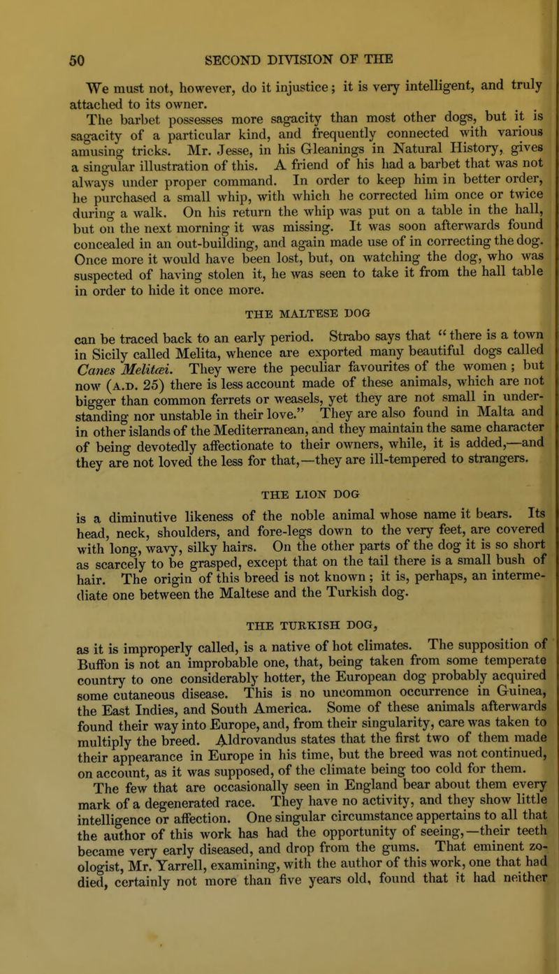 We must not, however, do it injustice; it is very intelligent, and truly attached to its owner. The barbet possesses more sagacity than most other dogs, but it is sagacity of a particular kind, and frequently connected with various amusing tricks. Mr. Jesse, in his Gleanings in Natural History, gives a singular illustration of this. A friend of his had a barbet that was not always under proper command. In order to keep him in better order, he purchased a small whip, with Avhich he corrected him once or twice during a walk. On his return the whip was put on a table in the hall, but on the next morning it was missing. It was soon afterwards found concealed in an out-building, and again made use of in correcting the dog. Once more it would have been lost, but, on watching the dog, who was suspected of having stolen it, he was seen to take it from the hall table in order to hide it once more. THE MALTESE DOG can be traced back to an early period. Strabo says that  there is a town in Sicily called Melita, whence are exported many beautiful dogs called Ca7ies MelifcBi. They were the peculiar favourites of the women ; but now (a.d. 25) there is less account made of these animals, which are not bigger than common ferrets or weasels, yet they are not small in under- standing nor unstable in their love. They are also found in Malta and in other islands of the Mediterranean, and they maintain the same character of being devotedly affectionate to their owners, while, it is added,—and they are not loved the less for that,—they are ill-tempered to strangers. THE LION DOG is a diminutive likeness of the noble animal whose name it bears. Its head, neck, shoulders, and fore-legs down to the very feet, are covered with long, wavy, silky hairs. On the other parts of the dog it is so short as scarcely to be grasped, except that on the tail there is a small bush of hair. The origin of this breed is not known ; it is, perhaps, an interme- diate one between the Maltese and the Turkish dog. THE TURKISH DOG, as it is improperly called, is a native of hot climates. The supposition of Bulfon is not an improbable one, that, being taken from some temperate country to one considerably hotter, the European dog probably acquired some cutaneous disease. This is no uncommon occurrence in Guinea, the East Indies, and South America. Some of these animals afterwards found their way into Europe, and, from their singularity, care was taken to multiply the breed. Aldrovandus states that the first two of them made their appearance in Europe in his time, but the breed was not continued, on account, as it was supposed, of the climate being too cold for them. The few that are occasionally seen in England bear about them every mark of a degenerated race. They have no activity, and they show little intelligence or affection. One singular circumstance appertains to all that the author of this work has had the opportunity of seeing,—their teeth became very early diseased, and drop from the gums. That eminent zo- ologist, Mr. Yarrell, examining, with the author of this work, one that had died, certainly not more than five years old, found that it had neither