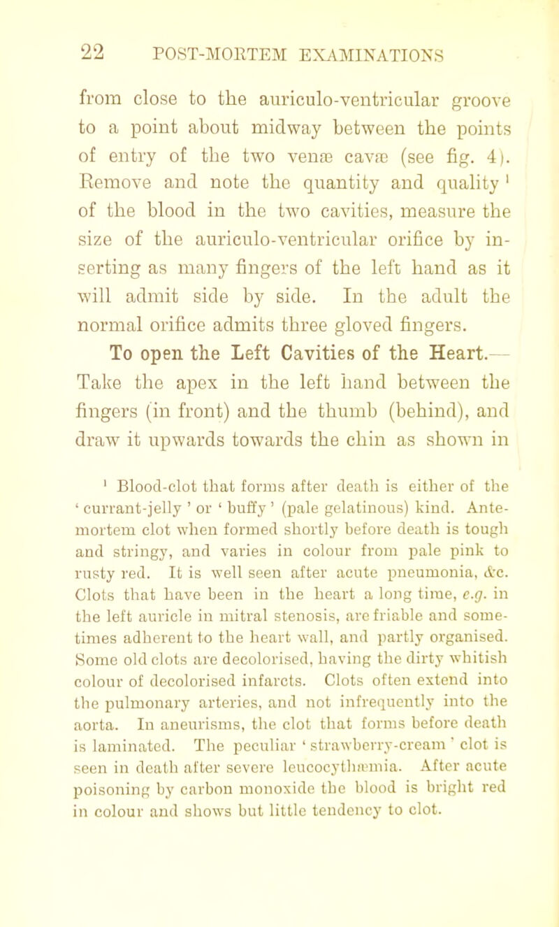 from close to the auriculo-ventricular groove to a point about midway between the points of entry of the two venaj cava; (see fig. 4). Eemove and note the quantity and quahty ' of the blood in the two cavities, measure the size of the auriculo-ventricular orifice by in- serting as many fingers of the left hand as it will admit side by side. In the adult the normal orifice admits three gloved fingers. To open the Left Cavities of the Heart.— Take the apex in the left hand between the fingers (in front) and the thumb (behind), and draw it upwards towards the chin as shown in ' Blood-clot that forms after death is either of the ' currant-jelly ' or ' bufi'y ' (pale gelatinous) kind. Ante- mortem clot when formed shortly before death is tough and stringy, and varies in colour from jjale pink to rusty red. It is well seen after acute pneumonia, etc. Clots that have been in the heart a long time, e.g. in the left auricle in mitral stenosis, are friable and some- times adherent to the heart wall, and partly organised. Some old clots are decolorised, having the dirty w^hitish colour of decolorised infarcts. Clots often extend into the pulmonary arteries, and not infrequently into the aorta. In aneurisms, the clot that forms before death is laminated. The peculiar ' strawberry-cream ' clot is seen in death after severe leucocythremia. After acute poisoning by carbon monoxide the blood is bright red in colour and shows but little tendency to clot.