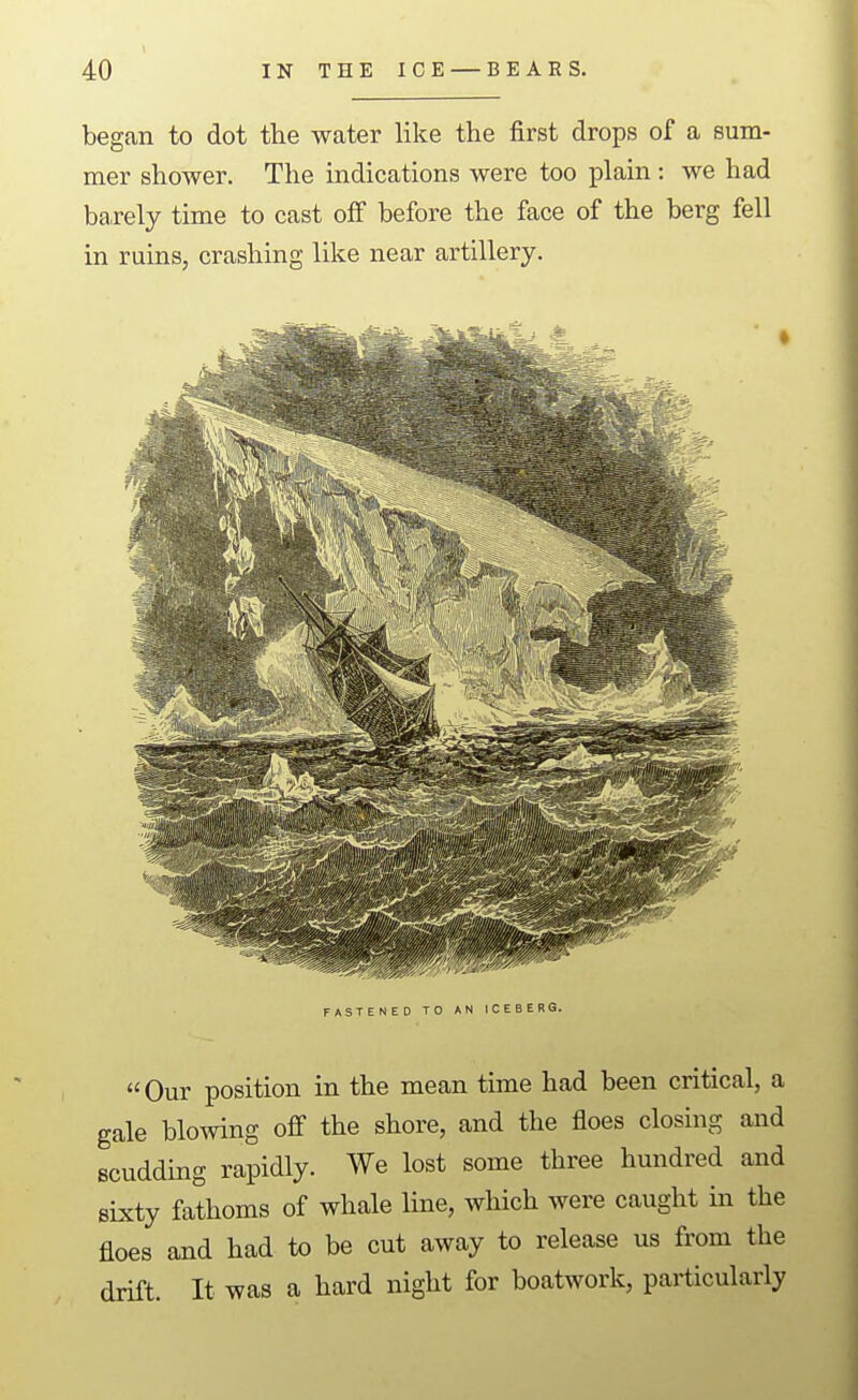 began to dot the water like the first drops of a sum- mer shower. The indications were too plain : we had barely time to cast off before the face of the berg fell in ruins, crashing like near artillery. Our position in the mean time had been critical, a gale blowing off the shore, and the floes closing and scudding rapidly. We lost some three hundred and sLxty fathoms of whale line, which were caught in the floes and had to be cut away to release us from the drift. It was a hard night for boatwork, particularly