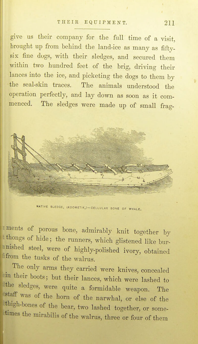 give us their company for the full time of a visit, brought up from behind the land-ice as many as fifty- six fine dogs, with their sledges, and secured them within two hundred feet of the brig, driving their lances into the ice, and picketing the dogs to them by the seal-skin traces. The animals understood the operation perfectly, and lay down as soon as it com- menced. The sledges were made up of small frag- NATIVE SLEDGE, (KOOM ETIK,)-CELLULAR BONE OF WHALE. rments of porous bone, admirably knit together by t thongs of hide; the runners, which glistened like bur- nished steel, were of highly-polished ivory, obtained from the tusks of the walrus. _ The only arms they carried were knives, concealed m their boots; but their lances, which were lashed to the sledges, were quite a formidable weapon. The staff was of the horn of the narwhal, or else of the thigh-bones of the bear, two lashed together, or some- times the rairabilis of the walrus, three or four of them