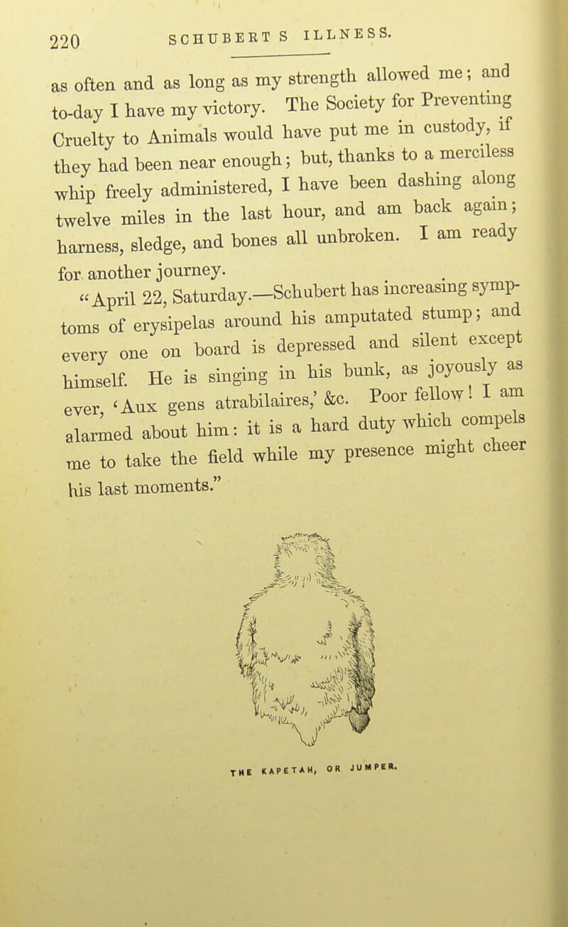 as often and as long as my strength allowed me; and to-day I have my victory. The Society for Preventmg Cruelty to Animals would have put me in custody it they had been near enough; but, thanks to a merciless whip freely administered, I have been dashing along twelve miles in the last hour, and am back again; harness, sledge, and bones all unbroken. I am ready for another journey. April 22, Saturday.-Schubert has increasmg symp- toms of erysipelas around his amputated stump; and every one on board is depressed and silent except himself He is singing in his bunk, as joyously as ever 'Aux gens atrabilaires,' &c. Poor fellow! I am alarmed about him: it is a hard duty which compels me to take the field while my presence might cheer his last moments. THE KAPETAH, OR JUMPER.