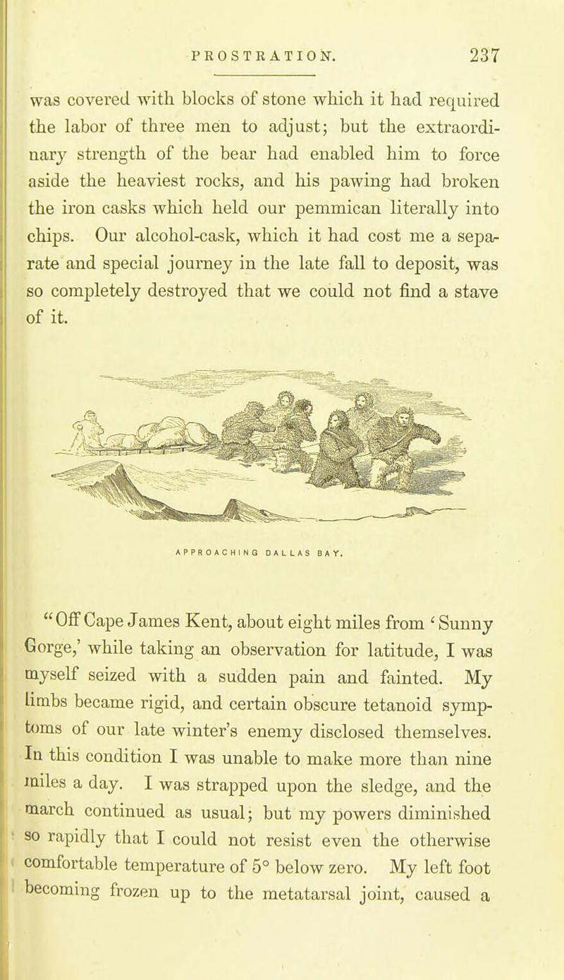 was covered with blocks of stone which it had required the labor of three men to adjust; but the extraordi- nary strength of the bear had enabled him to force aside the heaviest rocks, and his pawing had broken the iron casks which held our pemmican literally into chips. Our alcohol-cask, which it had cost me a sepa- rate and special journey in the late fall to deposit, was so completely destroyed that we could not find a stave of it. APPROACHING DALLAS BAY. Off Cape James Kent, about eight miles from ' Sunny Gorge,' while taking an observation for latitude, I was myself seized with a sudden pain and fainted. My limbs became rigid, and certain obscure tetanoid symp- toms of our late winter's enemy disclosed themselves. In this condition I was unable to make more than nine miles a day. I was strapped upon the sledge, and the march continued as usual; but my powers diminished ■ so rapidly that I could not resist even the otherwise < comfortable temperature of 5° below zero. My left foot becoming frozen up to the metatarsal joint, caused a