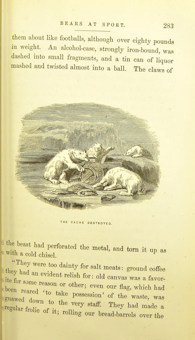 them about like footballs, although over eighty pounds in weight. An alcohol-case, strongly iron-bound, was dashed into small fragments, and a tin can of liquor mashed and twisted almost into a ball. The claws of I thr^J ■■ coffee Ute L  ^ ™' a favor- •^awed dolt**' '^ ™''' ° of It; rolling our bread-barrels oyer the