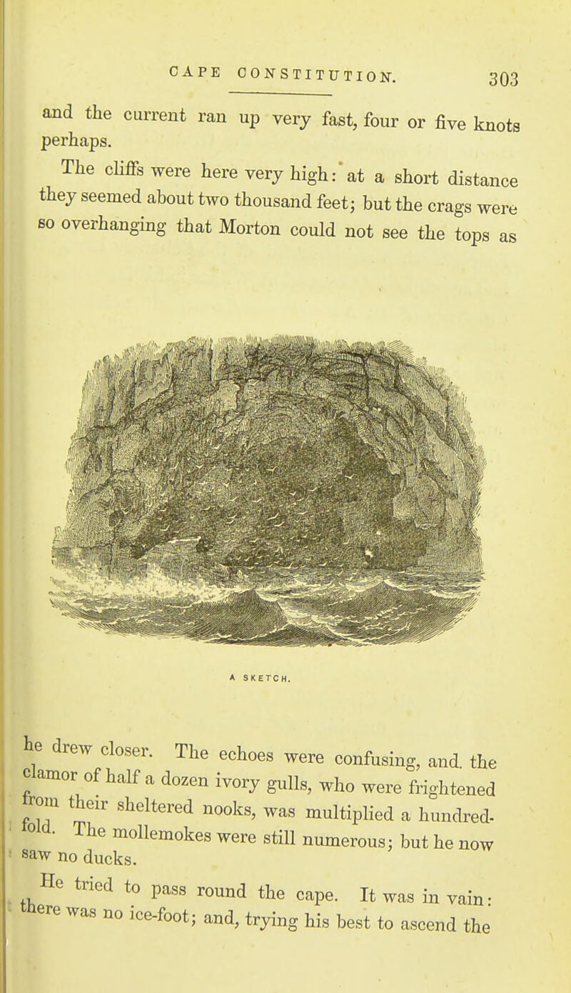 CAPE CONSTITUTION. and the current ran up very fast, four or five knots perhaps. The cHfis were here very high:'at a short distance they seemed about two thousand feet; but the crags were 60 overhanging that Morton could not see the tops as m. It ■ m hi/ A SKETCH. he drew closer. The echoes were confusing, and the Clamor of half a dozen ivory gulls, who were frightened trom their sheltered nooks, was multiplied a hundred- old- The mollemokes were still numerous; but he now saw no ducks. He tried to pass round the cape. It was in vain- tHere was no ice-foot; and, trying his best to ascend the