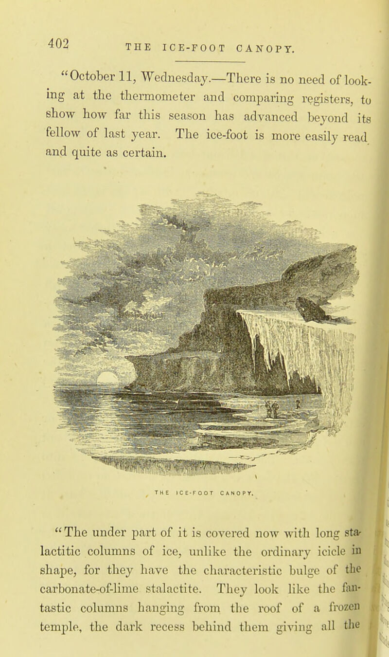 THE ICE-FOOT CANOPY. October 11, Wednesday.—There is no need of look- ing at the theraiometer and comparing registers, to shoAv how far this season has advanced beyond its fellow of last year. The ice-foot is more easily read and quite as certain. THE ICE-FOOT CANOPY.  The under part of it is covered now with long star lactitic columns of ice, unlike the ordinary icicle in shape, for they have the characteristic bulge of the carbonate-of-lime stalactite. They look like the fan- tastic columns hanging from the roof of a frozen temple, the dark recess behind them giving all the
