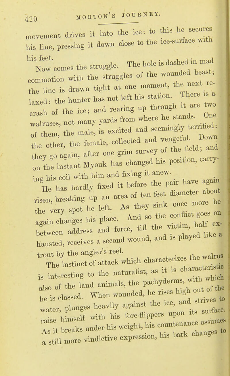 movement drives it into the ice. to thi. he secur^ his line, pressing it down close to the ice-surface w.th '''if*' .tl,P,tru2de The hole is dashed in mad Now conies the struggle, j- , i . \- „itV, the strussles of the wounded heast; commotion with the sirugg the line is drawn tight at one moment, t^e n-'  laxed ■ the hunter has not left his station. There is h'of the iee; and rearing np through it a.e tw : Cuses, not man, yards from where he stand^. One of them, the male, is excited and -''-Sly teirifed^ the other, the female, collected and veng^M , they go again, after one grim survey of the field, and In Ihe in:tan; Myonh has changed his position, cariy- his coil with him and fixing it anew. EfhTs hardly fixed it hefore the pair have agam J:ralgupanareaoftonfeetdiamet.a,on t,e very spot he 1* AS they as-ain changes his place. Ana so w« , ,. ; In address and force, till the victim, ha,^ - hausted, receives a second wound, and is played hke Xeli^LTS:::: which characto^^^^ , interesting to the naturalist, a. it is cha — .ISO of the land animals, the P'«=tyderms, with wh o heiscla^sed. When wounded he rises h^h o o«^^ -r-refriifsr;^^^^^ r;t:r:underhisweight,his.m— a still more vindictive expression, his bark o