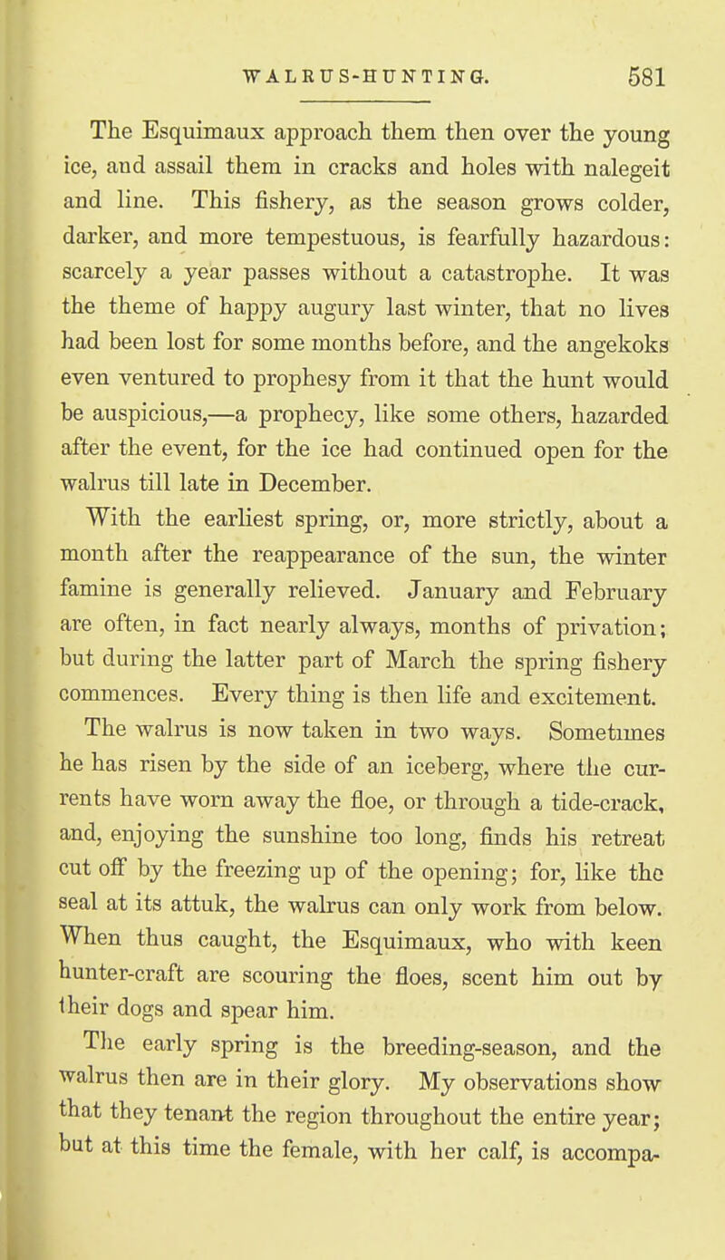 The Esquimaux approach them then over the young ice, and assail them in cracks and holes with nalegeit and line. This fishery, as the season grows colder, darker, and more tempestuous, is fearfully hazardous: scarcely a year passes without a catastrophe. It was the theme of happy augury last winter, that no lives had been lost for some months before, and the angekoks even ventured to prophesy from it that the hunt would be auspicious,—a prophecy, like some others, hazarded after the event, for the ice had continued open for the walrus till late in December. With the earliest spring, or, more strictly, about a month after the reappearance of the sun, the winter famine is generally relieved. January and February are often, in fact nearly always, months of privation; but during the latter part of March the spring fishery commences. Every thing is then life and excitement. The walrus is now taken in two ways. Sometimes he has risen by the side of an iceberg, where the cur- rents have worn away the floe, or through a tide-crack, and, enjoying the sunshine too long, finds his retreat cut off by the freezing up of the opening; for, like the seal at its attuk, the walrus can only work from below. When thus caught, the Esquimaux, who with keen hunter-craft are scouring the floes, scent him out by iheir dogs and spear him. Tlie early spring is the breeding-season, and the walrus then are in their glory. My observations show that they tenant the region throughout the entire year; but at this time the female, with her calf, is accompa-