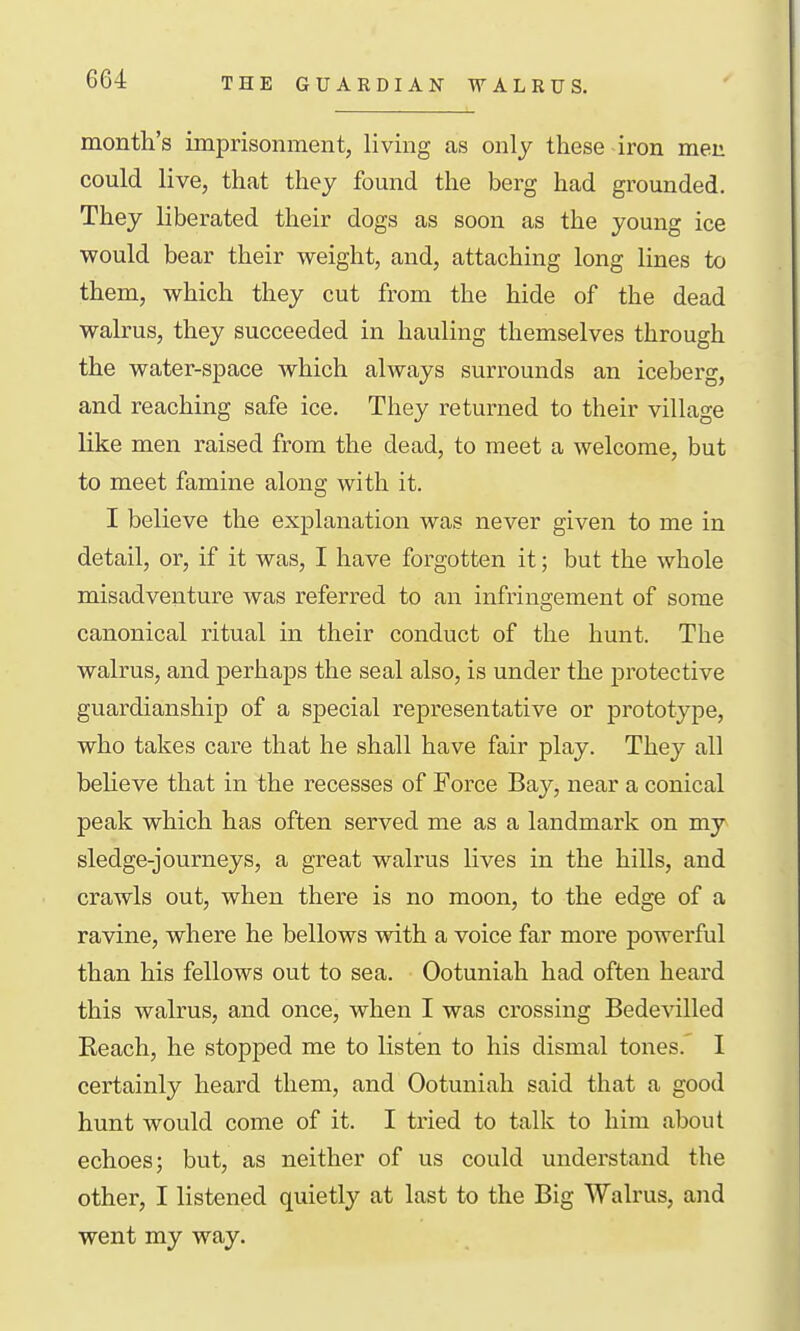 THE GUARDIAN WALRUS. month's imprisonment, living as only these iron meu could live, that they found the berg had grounded. They liberated their dogs as soon as the young ice would bear their weight, and, attaching long lines to them, which they cut from the hide of the dead walrus, they succeeded in hauling themselves through the water-space which always suri-ounds an iceberg, and reaching safe ice. They returned to their village like men raised from the dead, to meet a welcome, but to meet famine along with it. I believe the explanation was never given to me in detail, or, if it was, I have forgotten it; but the whole misadventure was referred to an infringement of some canonical ritual in their conduct of the hunt. The walrus, and perhaps the seal also, is under the protective guardianship of a special representative or prototype, who takes care that he shall have fair play. They all beUeve that in the recesses of Force Bay, near a conical peak which has often served me as a landmark on my sledge-journeys, a great walrus lives in the hills, and crawls out, when there is no moon, to the edge of a ravine, where he bellows with a voice far more powerful than his fellows out to sea. Ootuniah had often heard this walrus, and once, when I was crossing Bedevilled Reach, he stopped me to listen to his dismal tones. I certainly heard them, and Ootuniah said that a good hunt would come of it. I tried to talk to him about echoes; but, as neither of us could understand the other, I listened quietly at last to the Big Walrus, and went my way.