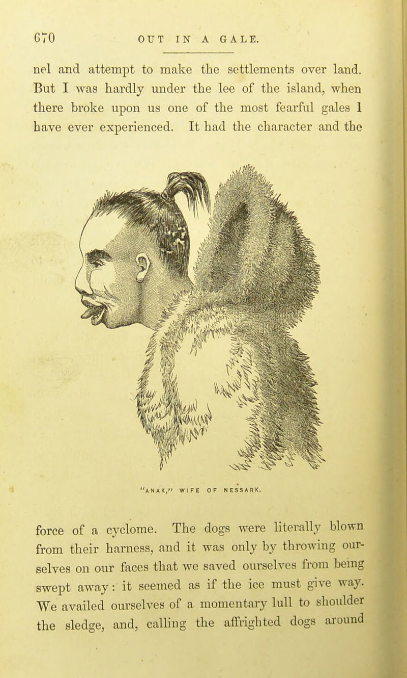 nel and attempt to make the settlements over land. But I was hardly under the lee of the island, when there broke upon us one of the most fearful gales 1 have ever experienced. It had the character and the anak, wife of nessark. force of a cyclome. The dogs were literally blown from their harness, and it was only by throwing our- selves on our faces that we saved ourselves from bemg swept away: it seemed as if the ice must give way. We availed ourselves of a momentary lull to shoulder the sledge, and, calling the affrighted dogs around