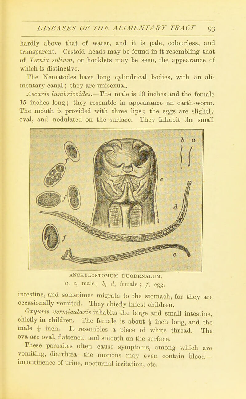 hardly above that of water, and it is pale, colourless, and transparent. Cestoid heads may be found in it resembling that of Tcenia solium, or booklets may be seen, the appearance of which is distinctive. The Nematodes have long cylindrical bodies, with an ali- mentary canal; they are unisexual. Ascaris licmbricoides.—The male is 10 inches and the female 15 inches long; they resemble in appearance an earth-worm. The mouth is provided with thi-ee lips; the eggs are slightly oval, and nodulated on the sm-face. They inhabit the small ANCHYLOSTOMUM DUODENALUM. a, c, male; b, d, female ; /, egg. intestine, and sometimes migrate to the stomach, for they arc occasionally vomited. They chiefly infest children. Oxyuris vermicitlaris inhabits the large and small intestme, chiefly ua children. The female is about ^ inch long, and the male i- mch. It resembles a piece of white thread. The ova are oval, flattened, and smooth on the surface. These parasites often cause symptoms, among which arc vomiting, diarrhoea—the motions may oven contain blood- incontinence of urme, nocturnal irritation, etc.