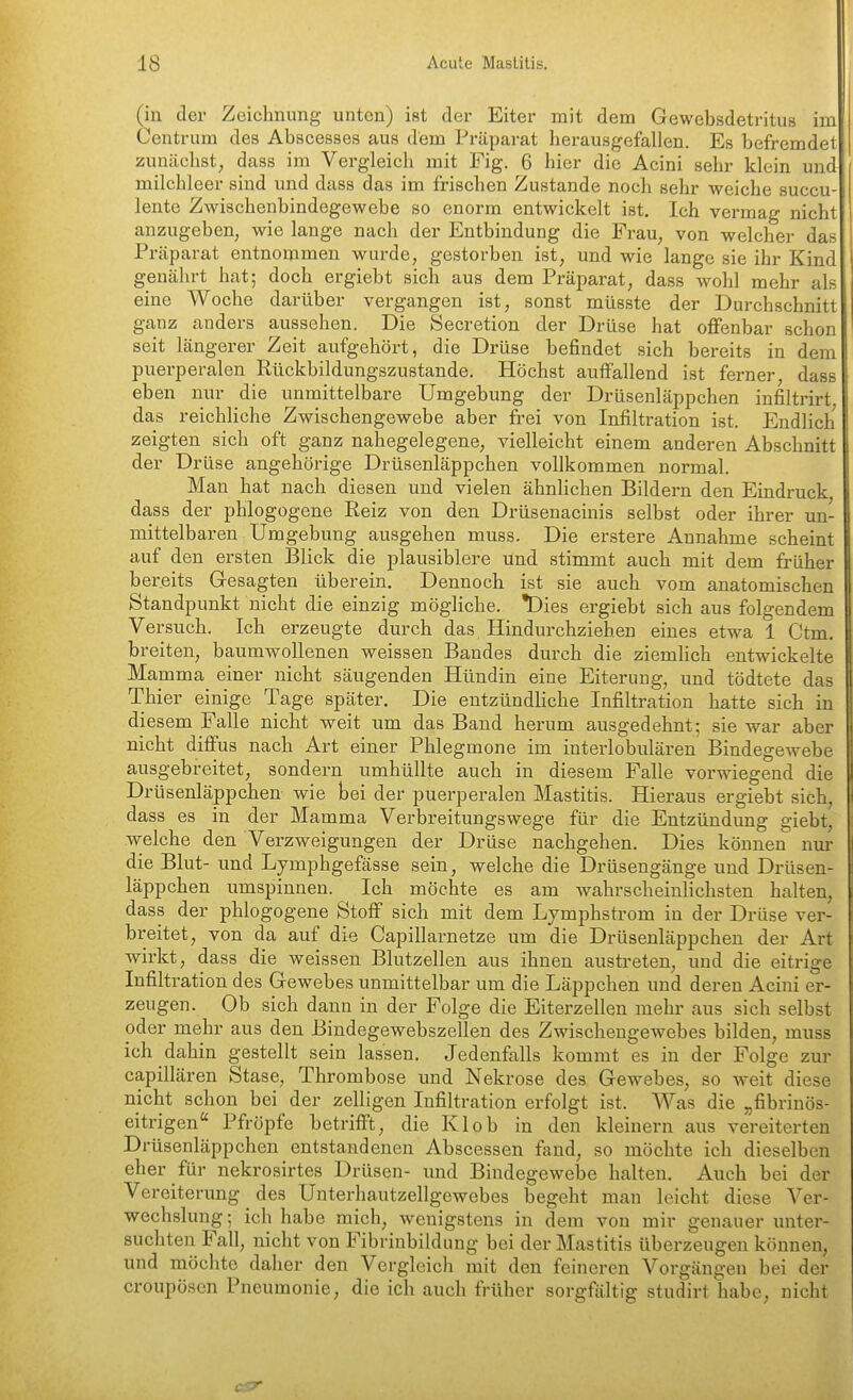 (in der Zeichnung unten) ist der Eiter mit dem Gewebsdetritus im Centrum des Abscesses aus dem Präparat herausgefallen. Es befremdet zunächst, dass im Vergleich mit Fig. 6 hier die Acini sehr klein und milchleer sind und dass das im frischen Zustande noch sehr weiche succu- lente Zwischenbindegewebe so enorm entwickelt ist. Ich vermag nicht anzugeben, wie lange nach der Entbindung die Frau, von welcher das Präparat entnommen wurde, gestorben ist, und wie lange sie ihr Kind genährt hat; doch ergiebt sich aus dem Präparat, dass wohl mehr als eine Woche darüber vergangen ist, sonst müsste der Durchschnitt ganz anders aussehen. Die Secretion der Drüse hat offenbar schon seit längerer Zeit aufgehört, die Drüse befindet sich bereits in dem puerperalen Rückbildungszustande. Höchst auffallend ist ferner, dass eben nur die unmittelbare Umgebung der Drüsenläppchen infiltrirt das reichliche Zwischengewebe aber fi-ei von Infiltration ist. Endlich zeigten sich oft ganz nahegelegene, vielleicht einem anderen Abschnitt der Drüse angehörige Drüsenläppchen vollkommen normal. Man hat nach diesen und vielen ähnlichen Bildern den Eindruck dass der phlogogene Reiz von den Drüsenacinis selbst oder ihrer un- mittelbaren Umgebung ausgehen muss. Die erstere Annahme scheint auf den ersten Blick die plausiblere und stimmt auch mit dem früher bereits Gresagten überein. Dennoch ist sie auch vom anatomischen Standpunkt nicht die einzig mögliche. Dies ergiebt sich aus folgendem Versuch. Ich erzeugte durch das Hindurchziehen eines etwa 1 Ctm. breiten, baumwollenen weissen Bandes durch die ziemlich entwickelte Mamma einer nicht säugenden Hündin eine Eiterung, und tödtete das Thier einige Tage später. Die entzündliche Infiltration hatte sich in diesem Falle nicht weit um das Band herum ausgedehnt; sie war aber nicht diffus nach Art einer Phlegmone im interlobulären Bindegewebe ausgebreitet, sondern umhüllte auch in diesem Falle vorwiegend die DrUsenläppchen wie bei der puerperalen Mastitis. Hieraus ergiebt sich, dass es in der Mamma Verbreitungswege für die Entzündung giebt, welche den Verzweigungen der Drüse nachgehen. Dies können nm- die Blut- und Lymphgefässe sein, welche die Drüsengänge und Drüsen- läppchen umspinnen. Ich möchte es am wahrscheinlichsten halten, dass der phlogogene Stoff sich mit dem Lymphstrom in der Drüse ver- breitet, von da auf die Capillarnetze um die Drüseuläppchen der Art wirkt, dass die weissen Blutzellen aus ihnen austreten, und die eitrige Infiltration des Gewebes unmittelbar um die Läppchen und deren Acini er- zeugen. Ob sich dann in der Folge die Eiterzellen mehr aus sich selbst oder mehr aus den Bindegewebszellen des Zwischengewebes bilden, muss ich dahin gestellt sein lassen. Jedenfalls kommt es in der Folge zur capillären Stase, Thrombose und Nekrose des Gewebes, so weit diese nicht schon bei der zelligen Infiltration erfolgt ist. Was die „fibrinös- eitrigen Pfropfe betrifft, die Klob in den kleinem aus vereiterten Drüsenläppchen entstandenen Abscessen fand, so möchte ich dieselben eher für nekrosirtes Drüsen- und Bindegewebe halten. Auch bei der Vereiterung des Unterhautzellgewebes begeht man leicht diese Ver- wechslung; ich habe mich, wenigstens in dem von mir genauer unter- suchten Fall, nicht von Fibrinbildang bei der Mastitis überzeugen können, und möchte daher den Vergleich mit den feineren Vorgängen bei der croupöscn Pneumonie, die ich auch früher sorgfältig studirt habe, nicht