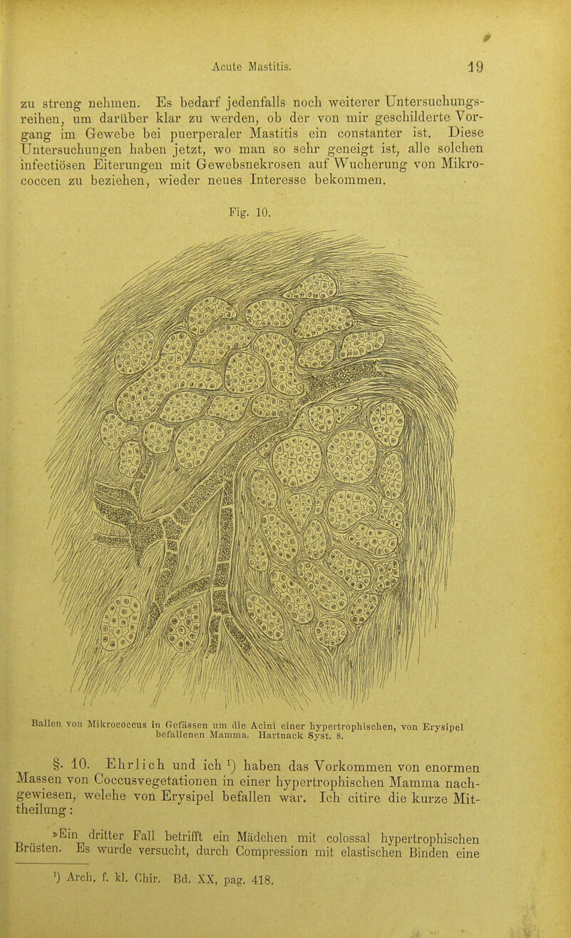 zu streng neliinen. Es bedarf jedenfalls noch weiterer Untersnchungs- reihen, um darüber klar zu werden, ob der von mir geschilderte Vor- gang im Gewebe bei puerperaler Mastitis ein constanter ist. Diese Untersuchungen haben jetzt, wo man so sehr geneigt ist, alle solchen infectiösen Eiterungen mit Gewebsnekrosen auf Wucherung von Mikro- coccen zu beziehen, wieder neues Interesse bekommen. Fig. 10. Ballen von Mikrococeus in Gefässen um die Acinl einer hypertrophischen, von Erysipel befallenen Mamma. Hartnaclc Syst. 8. §. 10. Ehrlich und ich haben das Vorkommen von enormen Massen von Coccusvegetationen in einer hypertrophischen Mamma nach- gewiesen, welehe von Erysipel befallen war. Ich citire die kurze Mit- theilung : »Ein dritter Fall betrifft ein Mädchen mit colossal hypertrophischen Brüsten. Es wurde versucht, durch Compression mit elastischen Binden eine ') Arch. f. kl. Chir. Bd. XX, pag. 418.