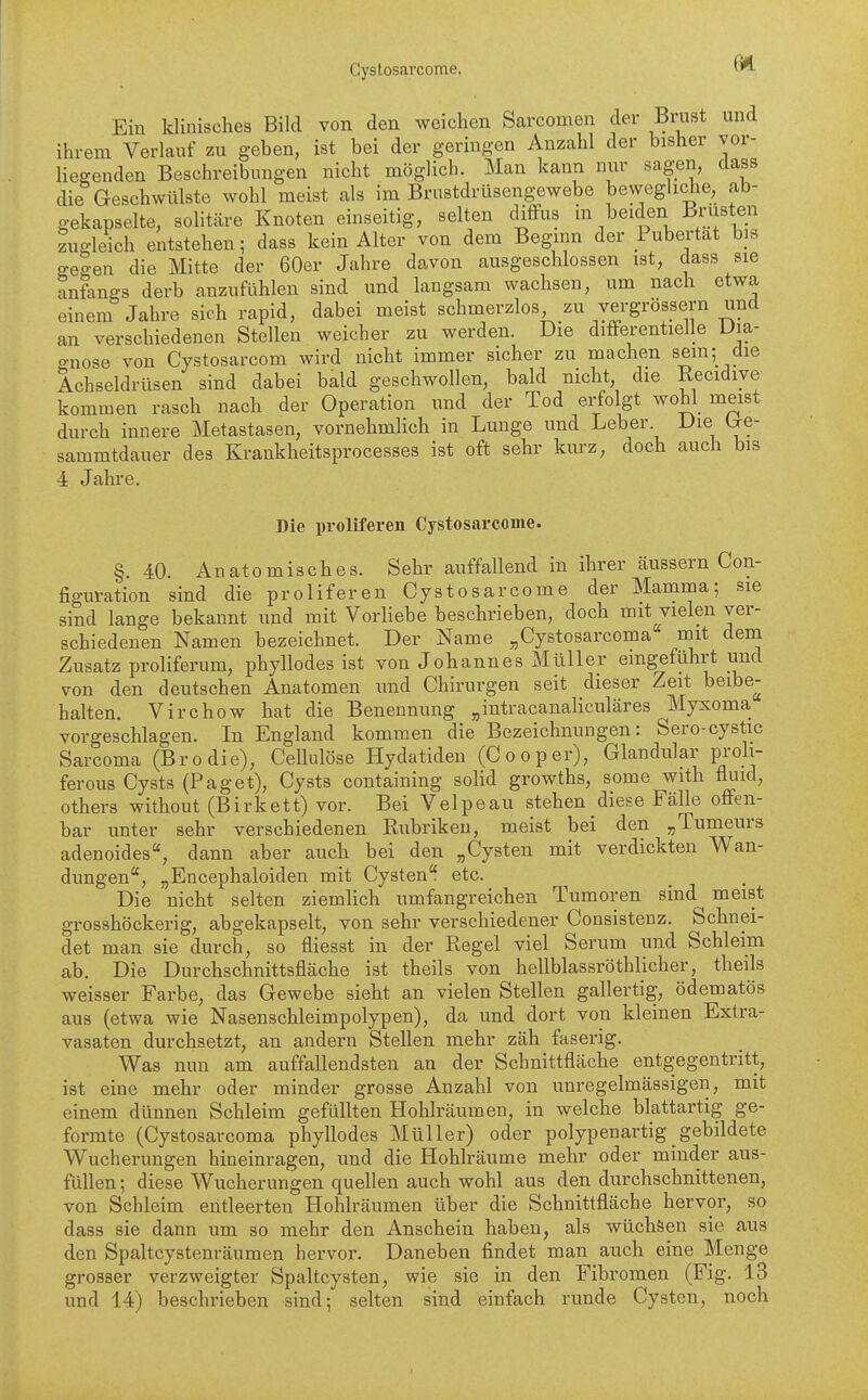 Ein klinisches Bild von den weichen Sarcomen der Brust und ihrem Verlauf zu geben, ist bei der geringen Anzahl der bisher vor- Hegenden Beschreibungen nicht möglich. Man kann nur sagen, class die Geschwülste wohl meist als im Brustdrüsengewebe bewegliche, ab- gekapselte, solitäre Knoten einseitig, selten cliflfus in beiden Brüsten zugleich entstehen; dass kein Alter von dem Beginn der Pubertät bis geg-en die Mitte der 60er Jahre davon ausgeschlossen ist, dass sie anfangs derb anzufühlen sind und langsam wachsen, um nach etwa einem Jahre sich rapid, dabei meist schmerzlos zu vergrössern und an verschiedenen Stellen weicher zu werden. Die difrerentielle Uia- gnose von Cystosarcom wird nicht immer sicher zu machen sein; die Achseldrüsen sind dabei bald geschwollen, bald nicht, die Recidive kommen rasch nach der Operation und der Tod erfolgt wohl meist durch innere Metastasen, vornehmUch in Lunge und Leber Die b-e- sammtdauer des Krankheitsprocesses ist oft sehr kurz, doch auch bis 4 Jahre. Die proliferen Cystosarcome. §. 40. Anatomisches. Sehr auffallend in ihrer äussern Con- figuration sind die proliferen Cystosarcome der Mamma; sie sind lange bekannt und mit Vorliebe beschrieben, doch mit vielen ver- schiedenen Namen bezeichnet. Der Name „Cystosarcoma mit dem Zusatz proliferum, phyllodes ist von Johannes Müller eingeführt und von den deutschen Anatomen und Chirurgen seit dieser Zeit beibe- halten. Virchow hat die Benennung „intracanaliculäres Myxoma vorgeschlagen. In England kommen die Bezeichnungen: Sero-cystic Sarcoma (Brodie), Cellulöse Hydatiden (Cooper), Glandulär proh- ferous Cysts (Paget), Cysts containing solid growths, some with fluid, others without (Birkett) vor. Bei Velpeau stehen diese Fälle offen- bar unter sehr verschiedenen Rubriken, meist bei den „Tumeurs adenoides, dann aber auch bei den „Cysten mit verdickten Wan- dungen, „Encephaloiden mit Cysten etc. Die nicht selten ziemlich umfangreichen Tumoren sind meist grosshöckerig, abgekapselt, von sehr verschiedener Consisteuz. Schnei- det man sie durch, so fliesst in der Regel viel Serum und Schleim ab. Die Durchschnittsfläche ist theils von hellblassröthlicher, theils weisser Farbe, das Gewebe sieht an vielen Stellen gallertig, ödematös aus (etwa wie Nasenschleimpolypen), da und dort von kleinen Extra- vasaten durchsetzt, an andern Stellen mehr zäh faserig. Was nun am auffallendsten an der Schnittfläche entgegentritt, ist eine mehr oder minder grosse Anzahl von unregelmässigen, mit einem dünnen Schleim gefüllten Hohlräumen, in welche blattartig ge- formte (Cystosarcoma phyllodes Müller) oder polypenartig gebildete Wucherungen hineinragen, und die Hohlräume mehr oder minder aus- füllen ; diese Wucherungen quellen auch wohl aus den durchschnittenen, von Schleim entleerten Hohlräumen über die Schnittfläche hervor, so dass sie dann um so mehr den Anschein haben, als wüchsen sie aus den Spaltcystenräumen hervor. Daneben findet man auch eine Menge grosser verzweigter Spaltcysten, wie sie in den Fibromen (Fig. l3 und 14) beschrieben sind; selten sind einfach runde Cysten, noch