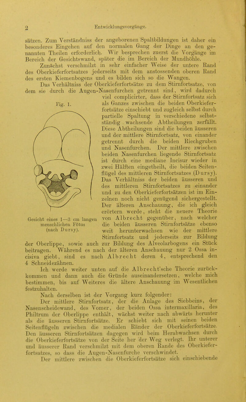 Sätzen. Zum Verständniss der angeborenen Spaltbildungen ist daher ein besonderes Eingehen auf den normalen Gang der Dinge an den ge- nannten Theilen erforderlich. Wir besprechen zuerst die Vorgänge im Bereich der Gesichtswand, später die im Bereich der Mundhöhle. Zunächst verschmilzt in sehr einfacher Weise der untere Rand des Oberkieferfortsatzes jederseits mit dem anstossenden oberen Rand des ersten Kiemenbogens und es bilden sich so die Wangen. Das Verhältniss der Oberldeferfortsätze zu dem Stimfortsatze, von dem sie durch die Augen-Nasenfurchen getrennt sind, wird dadurch viel complicirter, dass der Stirnfortsatz sich Fig. 1, als Ganzes zwischen die beiden Oberkiefer- fortsätze einschiebt und zugleich selbst durch partielle Spaltung in verschiedene selbst- ständig wachsende Abtheilungen zerfällt. Diese Abtheilungen sind die beiden äusseren und der mittlere Stirnfortsatz, von einander getrennt durch die beiden Riechgruben und Nasenfurchen. Der mittlere zwischen beiden Nasenfurchen liegende Stirnfortsatz ist durch eine mediane Incisur wieder in zwei Hälften eingetheüt, die beiden Seiten- flügel des mittleren Stirnfortsatzes (Dursy). Das Verhältniss der beiden äusseren und des mittleren Stirnfortsatzes zu einander und zu den Oberkieferfortsätzen ist im Ein- zelnen noch nicht genügend sichergestellt. Der älteren Anschauung, die ich gleich erörtern werde, steht die neuere Theorie Gesicht eines 1—3 cm langen von Albrecht gegenüber, nach welcher menschlichen Fötus die beiden äusseren Stirnfortsätze ebenso (nach Dursy). -^^eit herunterwachsen wie der mittlere . Stirnfortsatz und jederseits zur Bildung der Oberlippe, sowie auch zur Bildung des Alveolarbogens ein Stück beitragen. Während es nach der älteren Anschauung nur 2 Ossa in- cisiva giebt, sind es nach Alb recht deren 4, entsprechend den 4 Schneidezähnen. Ich werde weiter unten auf die Albrecht'sche Theorie zurück- kommen und dann auch die Gründe auseinandersetzen, welche mich bestimmen, bis auf Weiteres die ältere Anschauung im Wesentlichen festzuhalten. Nach derselben ist der Vorgang kurz folgender: Der mittlere Stirnforts atz, der die Anlage des Siebbeins, der Nasenscheidewand, des Vomer, der beiden Ossa intermaxillaria, des Philtrum der Oberlippe enthält, wächst weiter nach abwärts herunter als die äusseren Stirnfortsätze. Er schiebt sich mit seinen beiden Seitenflügeln zwischen die medialen Ränder der Oberkieferfortsätze. Den äusseren Stirnfortsätzen dagegen wird beim Herabwachsen durch die Oberkieferfortsätze von der Seite her der Weg verlegt. Ihr unterer und äusserer Rand verschmilzt mit dem oberen Rande des Oberkiefer- fortsatzes, so dass die Augen-Nasenfurche verschwindet. Der mittlere zwischen die Oberkieferfortsätze sich einschiebende