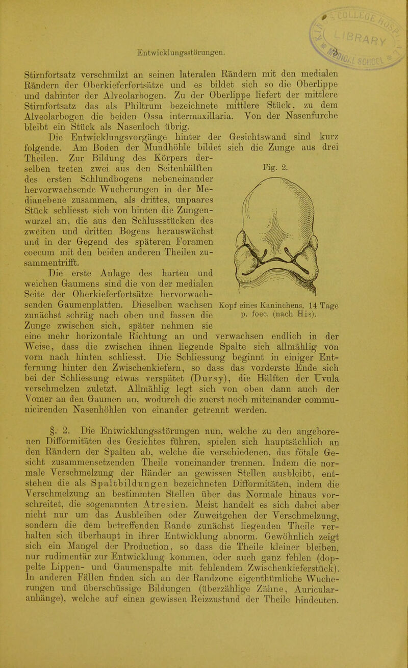 0 Entwicklungsstörungen. Stirnfoi-tsatz verschmilzt an seinen lateralen Rändern mit den medialen Rändern der Oberkieferfortsätze imd es bildet sich so die Oberlippe und dahinter der Alveolarbogen. Zu der Oberlippe liefert der mittlere Stirnfortsatz das als Philtrum bezeichnete mittlere Stück, zu dem Alveolarbogen die beiden Ossa intermaxiUaria. Von der Nasenfurche bleibt ein Stück als Nasenloch übrig. Die Entwicklungsvorgänge hinter der Gesichtswand sind kurz folgende. Am Boden der Mundhöhle bildet sich die Zunge aus drei Theilen. Zur Bildung des Körpers der- selben treten zwei aus den Seitenhälften Fig- 2. des ersten Schlundbogens nebeneinander hervorwachsende Wucherungen in der Me- dianebene zusammen, als drittes, unpaares Stück schliesst sich von hinten die Zungen- wurzel an, die aus den Schlussstücken des zweiten und dritten Bogens herauswächst und in der Gegend des späteren Foramen coecum mit den beiden anderen Theilen zu- sammentrifft. Die erste Anlage des harten und weichen Gaumens sind die von der medialen Seite der Oberkieferfortsätze hervorwach- senden Gaumenplatten. Dieselben wachsen Kopf eines Kaninchens, 14 Tage zunächst schräg nach oben und fassen die P- foec. (nach Eis). Zunge zwischen sich, später nehmen sie eine mehr horizontale Richtung an und verwachsen endlich in der Weise, dass die zwischen ihnen liegende Spalte sich allmählig von vorn nach hinten schliesst. Die Schliessung beginnt in einiger Ent- fernung hinter den Zwischenkiefern, so dass das vorderste Ende sich bei der Schliessung etwas verspätet (Dursy), die Hälften der Uvula verschmelzen zuletzt. AUmählig legt sich von oben dann auch der Vomer an den Gaumen an, wodurch die zuerst noch miteinander commu- nicirenden Nasenhöhlen von einander getrennt werden. §. 2. Die Entwicklungsstörungen nun, welche zu den angebore- nen Difformitäten des Gesichtes führen, spielen sich hauptsächlich an den Rändern der Spalten ab, welche die verschiedenen, das fötale Ge- sicht zusammensetzenden Theüe voneinander trennen. Indem die nor- male Verschmelzung der Ränder an gewissen Stellen ausbleibt, ent- stehen die als Spaltbildungen bezeichneten DifFormitäten, indem die Verschmelzung an bestimmten Stellen über das Normale hinaus vor- sclu-eitet, die sogenannten Atresien. Meist handelt es sich dabei aber nicht nur um das Ausbleiben oder Zuweitgehen der Verschmelzung, sondern die dem betreffenden Rande zunächst liegenden Theile ver- halten sich überhaupt in ihrer Entwicklung abnorm. Gewöhnlich zeigt sich ein Mangel der Production, so dass die Theile kleiner bleiben, nur rudimentär zur Entwicklung kommen, oder auch ganz fehlen (dop- pelte Lippen- und Gaumenspalte mit fehlendem Zwischenkieferstück). In anderen Fällen finden sich an der Randzone eigenthümliche Wuche- rungen und überschüssige Bildungen (überzählige Zähne, Auricular- anhänge), welche auf einen gewissen Reizzustand der Theile hindeuten.