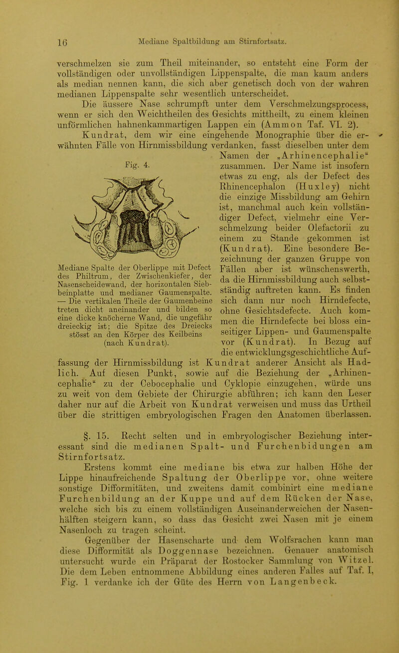 verschmelzen sie zum Theil miteinander, so entstellt eine Form der vollständigen oder unvollständigen Lippenspalte, die man kaum anders als median nennen kann, die sich aber genetisch doch von der wahren medianen Lippenspalte sehr wesentlich unterscheidet. Die äussere Nase schrumpft unter dem Verschmelzungsprocess, wenn er sich den Weichtheilen des Gesichts mittheilt, zu einem kleinen unförmlichen hahnenkammartigen Lappen ein (Ammon Taf. VI. 2). Kundrat, dem wir eine eingehende Monographie über die er- ' wähnten Fälle von Hirnmissbildung verdanken, fasst dieselben unter dem Namen der „Arhinencephalie zusammen. Der Name ist insofern etwas zu eng, als der Defect des Rhinencephalon (H u x 1 e y) ni cht die einzige Missbildung am Grehim ist, manchmal auch kein vollstän- diger Defect, vielmehr eine Ver- schmelzung beider Olefactorii zu einem zu Stande gekommen ist (Kundrat). Eine besondere Be- zeichnung der ganzen Gruppe von Fällen aber ist wünschenswerth, da die BQrnmissbildung auch selbst- ständig auftreten kann. Es finden sich dann nur noch Hirndefecte, ohne Gesichtsdefecte. Auch kom- men die Hirndefecte bei bloss ein- seitiger Lippen- und Gaumenspalte vor (Kundrat). In Bezug auf die entwicklungsgeschichtliche Auf- fassung der Hirnmissbildung ist Kundrat anderer Ansicht als Had- lich. Auf diesen Punkt, sowie auf die Beziehung der „Arhinen- cephalie zu der Cebocephalie und Cyklopie einzugehen, würde uns zu weit von dem Gebiete der Chirurgie abführen; ich kann den Leser daher nur auf die Arbeit von Kundrat verweisen und muss das Urtheil über die strittigen embryologischen Fragen den Anatomen überlassen. §. 15. Recht selten und in embryologischer Beziehung inter- essant sind die medianen Spalt- und Fürchenbidungen am Stirnfortsatz. Erstens kommt eine mediane bis etwa zur halben Höhe der Lippe hinaufreichende Spaltung der Oberlippe vor, ohne weitere sonstige Difformitäten, und zweitens damit combinirt eine mediane Furchenbildung an der Kuppe und auf dem Rücken der Nase, welche sich bis zu einem vollständigen Auseinanderweichen der Nasen- hälften steigern kann, so dass das Gesicht zwei Nasen mit je einem Nasenloch zu tragen scheint. Gegenüber der Hasenscharte und dem Wolfsrachen kann man diese Difformität als Doggennase bezeichnen. Genauer anatomisch untersucht wurde ein Präparat der Rostocker Sammlung von Witzel. Die dem Leben entnommene Abbildung eines anderen Falles auf Taf. I, Fig. 1 verdanke ich der Güte des Herrn von Langenbeck. Fig. 4. Mediane Spalte der Oberlippe mit Defect des Phdltrum, der Zwischenkiefer, der Nasenscheidewand, der horizontalen Sieb- beinplatte und medianer Gaumenspalte. — Die vertikalen Theile der Gaumenbeine treten dicht aneinander und bilden so eine dicke knöcherne Wand, die ungefähr dreieckig ist; die Spitze des Dreiecks stösst an den Körper des Keilbeins (nach Kundrat).