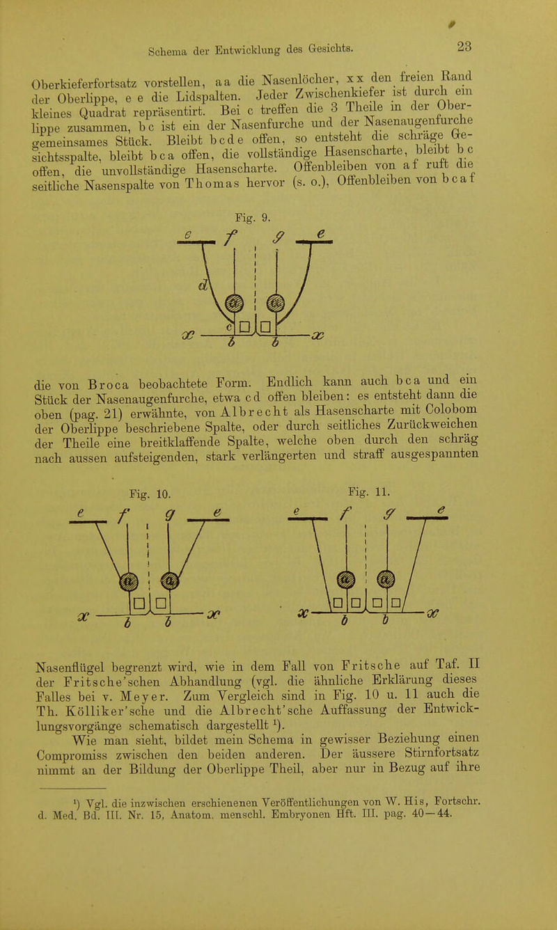 Oberkieferfortsatz vorstellen, aa die Nasenlöcher, xx den freien Rand der OberUppe, e e die Lidspalten. Jeder Zwischenkiefer ist durch em kleines Quadrat repräsentirt. Bei c treffen die 3 Theile m der Ober- lippe zusammen, bc ist ein der Nasenfurche und der Nasenaugenfui-che gemeinsames Stück. Bleibt bcde offen, so entsteht die schräge Ge- Schtsspalte, bleibt bca offen, die voUständige Hasenscharte, bleibt bc offen, die unvoUständige Hasenscharte. Offenbleiben von af ruft die seitliche Nasenspalte von Thomas hervor (s. o.), Offenbleiben von bcat Fig. 9. die von Broca beobachtete Form. Endlich kann auch bca und em Stück der Nasenaugenfurche, etwa cd offen bleiben: es entsteht dann die oben (pag. 21) erwähnte, von Alb recht als Hasenscharte mit Colobom der Oberlippe beschriebene Spalte, oder durch seitliches Zurückweichen der Theile eine breitklaffende Spalte, welche oben durch den schräg nach aussen aufsteigenden, stark verlängerten und straff ausgespannten Fig. 10. Fig. 11. Nasenflügel begrenzt wird, wie in dem Fall von Fritsche auf Taf. H der Fritsche'schen Abhandlung (vgl. die ähnliche Erklärung dieses Falles bei v. Meyer. Zum Vergleich sind in Fig. 10 u. 11 auch die Th. Kölliker'sche und die Albrecht'sche Auffassung der Entwick- lungsvorgänge schematisch dargestellt ^). Wie man sieht, bildet mein Schema in gewisser Beziehung einen Compromiss zwischen den beiden anderen. Der äussere Stirnfortsatz nimmt an der Bildung der Oberlippe Theil, aber nur in Bezug auf ihre Vgl. die inzwischen erschienenen Veröffentlichungen von W. His, Fortschr. d. Med. Bd° III. Nr. 15, Anatom, menschl. Embryonen Hft. III. pag. 40 — 44.