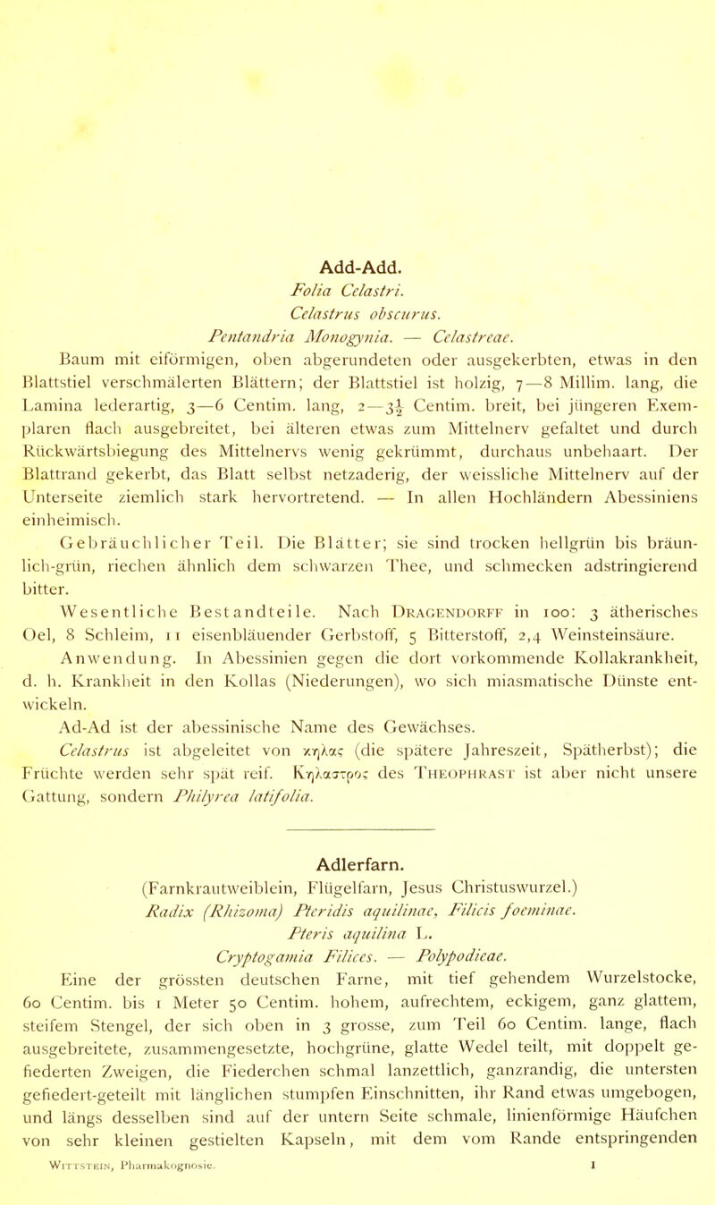 Add-Add. Folia Celastri. Celastriis obsciirus. Pentandria Monogynia. — Celastreae. Baum mit eiförmigen, ohen abgerundeten oder ausgekerbten, etwas in den Blattstiel verschmälerten Blättern; der Blattstiel ist holzig, 7—8 Millim. lang, die Lamina lederartig, 3—6 Centim. lang, 2—3^ Centim. breit, bei jüngeren Exem- plaren flach ausgebreitet, bei älteren etwas zum Mittelnerv gefaltet und durch Rückwärtsbiegung des Mittelnervs wenig gekrümmt, durchaus unbehaart. Der Blattrand gekerbt, das Blatt selbst netzaderig, der weissliche Mittelnerv auf der Unterseite ziemlich stark hervortretend. — In allen Hochländern Abessiniens einheimiscln. Gebräuchlicher Teil. Die Blätter; sie sind trocken hellgrün bis bräun- licli-griui, riechen ähnlich dem schwarzeii Thec, und schmecken adstringierend bitter. Wesentliche Bestandteile. Nach Dragendorff in 100: 3 ätherisches Oel, 8 Schleim, 11 eisenbläuender Gerbstoff, 5 Bitterstoff, 2,4 Weinsteinsäure. Anwendung. In Abessinien gegen die dort vorkommende Kollakrankheit, d. h. Krankheit in den Kollas (Niederungen), wo sich miasmatische Dünste ent- wickeln. Ad-Ad ist der abessinische Name des Gewächses. Celastriis ist abgeleitet von y.r]Äas (die spätere Jahreszeit, Spätherbst); die Früchte werden sehr spät reif. Kv)Aaj-fjo; des Theophrast ist aber nicht unsere Gattung, sondern PJiilyrea latifolia. Adlerfarn. (Farnkrautweiblein, Flügelfarn, Jesus Christuswurzel.) Radix (Rhizoina) Ptcridis aqiiilinac, Filicis foeminae. Pteris aqiiilina L. Cryptogamia Filices. — Polypodicae. Eine der grössten deutschen Farne, mit tief gehendem Wurzelstocke, 60 Centim. bis i Meter 50 Centim. hohem, aufrechtem, eckigem, ganz glattem, steifem Stengel, der sich oben in 3 grosse, zum Teil 60 Centim. lange, flach ausgebreitete, zusammengesetzte, hochgrüne, glatte Wedel teilt, mit doppelt ge- fiederten Zweigen, die Fiederchen schmal lanzettlich, ganzrandig, die untersten gefiedert-geteilt mit länglichen stumpfen Einschnitten, ihr Rand etwas umgebogen, und längs desselben sind auf der untern Seite schmale, linienförmige Häufchen von sehr kleinen gestielten Kapseln, mit dem vom Rande entspringenden