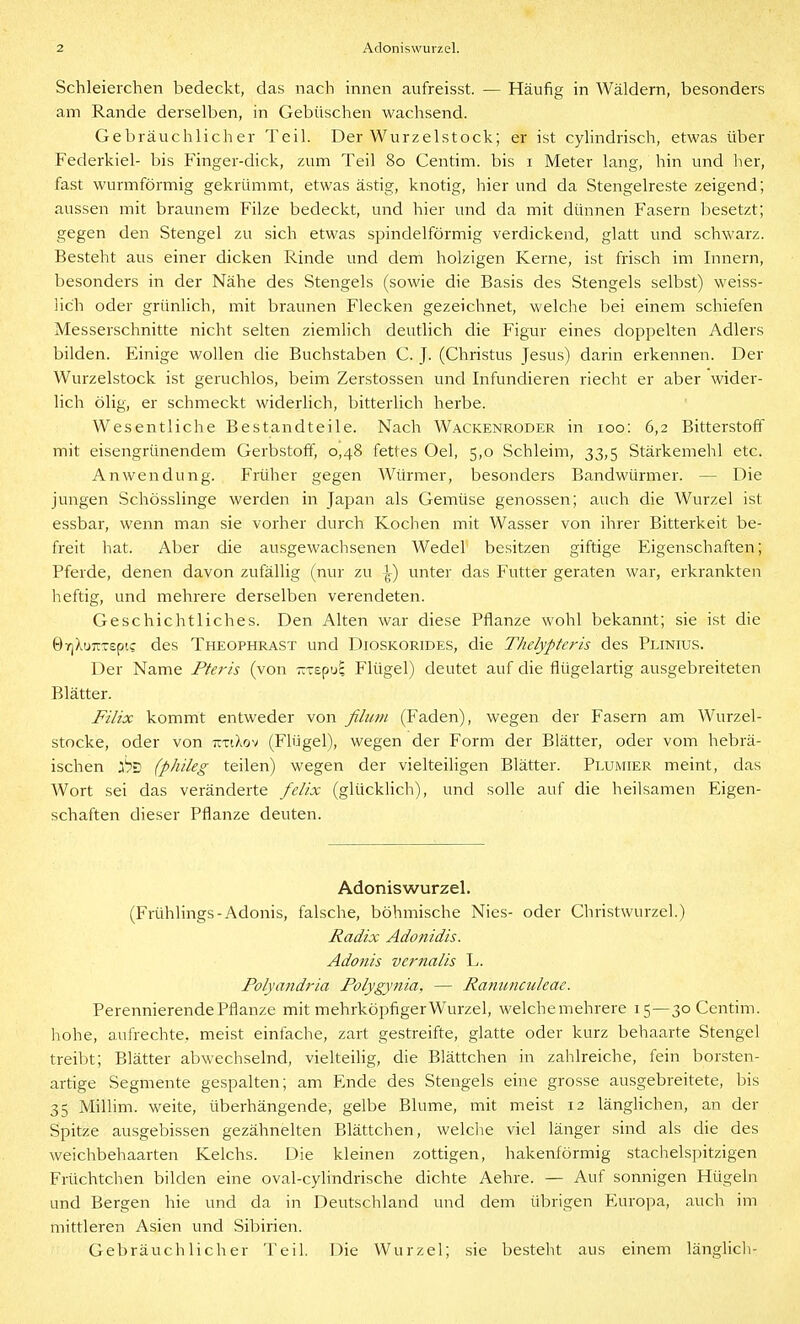 Schleierchen bedeckt, das nach innen aufreisst. — Häufig in Wäldern, besonders am Rande derselben, in Gebüschen wachsend. Gebräuchlicher Teil. Der Wurzelstock; er ist cyhndrisch, etwas über Federkiel- bis Finger-dick, zum Teil 80 Centim. bis i Meter lang, hin und her, fast wurmförmig gekrümmt, etwas ästig, knotig, hier und da Stengelreste zeigend; aussen mit braunem Filze bedeckt, und hier und da mit dünnen Fasern besetzt; gegen den Stengel zu sich etwas spindelförmig verdickend, glatt und schwarz. Besteht aus einer dicken Rinde und dem holzigen Kerne, ist frisch im Innern, besonders in der Nähe des Stengels (sowie die Basis des Stengels selbst) weiss- lich oder grünlich, mit braunen Flecken gezeichnet, welche bei einem schiefen Messerschnitte nicht selten ziemlich deutlich die Figur eines doppelten Adlers bilden. Einige wollen die Buchstaben C. J. (Christus Jesus) darin erkennen. Der Wurzelstock ist geruchlos, beim Zerstossen und Infundieren riecht er aber wider- lich ölig, er schmeckt widerlich, bitterlich herbe. Wesentliche Bestandteile. Nach Wackenroder in 100: 6,2 Bitterstoff mit eisengrünendem Gerbstoff, 0,48 fettes Oel, 5,0 Schleim, 33,5 Stärkemehl etc. Anwendung. Früher gegen Würmer, besonders Bandwürmer. — Die jungen Schösslinge werden in Japan als Gemüse genossen; auch die Wurzel ist essbar, wenn man sie vorher durch Kochen mit Wasser von ihrer Bitterkeit be- freit hat. Aber die ausgewachsenen Wedel besitzen giftige Eigenschaften; Pferde, denen davon zufällig (nur zu unter das Futter geraten war, erkrankten heftig, und mehrere derselben verendeten. Geschichtliches. Den Alten war diese Pflanze wohl bekannt; sie ist die 0YjXüTCT£pt? des Theophrast und Dioskorides, die Thelypteris des Plinius. Der Name Pteris (von Tttspu; Flügel) deutet auf die flügelartig ausgebreiteten Blätter. Filix kommt entweder von filwn (Faden), wegen der Fasern am Wurzel- stocke, oder von ütiäov (Flügel), wegen der Form der Blätter, oder vom hebrä- ischen 'h^ (phileg teilen) wegen der vielteiligen Blätter. Plumier meint, das Wort sei das veränderte felix (glücklich), und solle auf die heilsamen Eigen- schaften dieser Pflanze deuten. Adoniswurzel. (Frühlings-Adonis, falsche, böhmische Nies- oder Christwurzel.) Radix Ado7iidis. Adonis vernalis L. Polyandria Polygynia, — Ranuncideae. Perennierende Pflanze mit mehrköpfiger Wurzel, welchemehrere 15—30 Centim. hohe, aufrechte, meist einfache, zart gestreifte, glatte oder kurz behaarte Stengel treibt; Blätter abwechselnd, vielteilig, die Blättchen in zahlreiche, fein borsten- artige Segmente gespalten; am Ende des Stengels eine grosse ausgebreitete, bis 35 Millim. weite, überhängende, gelbe Blume, mit meist 12 länglichen, an der Spitze ausgebissen gezähnelten Blättchen, welclie viel länger sind als die des weichbehaarten Kelchs. Die kleinen zottigen, hakenförmig stachelspitzigen Früchtchen bilden eine oval-cylindrische dichte Aehre. — Auf sonnigen Hügeln und Bergen hie und da in Deutschland und dem übrigen Europa, auch im mittleren Asien und Sibirien. Gebräuchlicher Teil. Die Wurzel; sie besteht aus einem länglicli-
