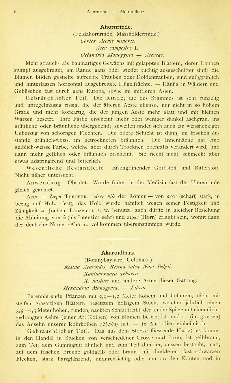Ahornrinde. (Feldahornrinde, Massholderrinde.) Cortex Aceris minoris. Acer campestre L. Octandria Monogynia — Acereae. Mehr Strauch- als baumartiges Gewächs mit gelappten Blättern, deren Lappen stumpf ausgebreitet, am Rande ganz oder wieder buchtig ausgeschnitten sind: die Blumen bilden gestielte aufrechte Trauben oder Doldentrauben, sind gelbgrünlich und hinterlassen horizontal ausgebreitete Flügelfrüchte. — Häufig in Wäldern und Gebüschen fast durch ganz Europa, sowie im mittleren Asien. Gebräuchlicher Teil. Die Rinde; die des Stammes ist sehr runzelig und unregelmässig rissig, die der älteren Aeste ebenso, nur nicht in so hohem Grade und mehr korkartig, die der jungen Aeste mehr glatt und mit kleinen Warzen besetzt. Ihre Farbe erscheint mehr oder weniger dunkel aschgrau, ins grünliche oder bräunliche übergehend; zuweilen findet sich auch ein weissfleckiger Ueberzug von schorfigen Flechten. Die obere Schicht ist dünn, im frischen Zu- stande grünlich-weiss, im getrockneten bräunlich. Die Innenfläche hat eine gelblich-weisse Farbe, welche aber durch Trocknen ebenfalls verändert wird, und dann mehr gelblich oder bräunlich erscheint. Sie riecht nicht, schmeckt aber etwas adstringirend und bitterlich. Wesentliche Bestandteile. Eisengrünender Gerbstoff und Bitterstoff. Nicht näher untersucht. Anwendung. Obsolet. Wurde früher in der Medizin fast der Ulmenrinde gleich geachtet. Acer — Zu^ia Theophr. Acer vile der Römer — von acer (scharf, stark, in bezug auf Holz: fest), das Holz wurde nämlich wegen seiner Festigkeit und Zähigkeit zu Jochen, Lanzen u. s. w. benutzt; auch dürfte in gleicher Beziehung die Ableitung von ot (als Intensiv: sehr) und y.spa; (Horn) erlaubt sein, womit dann der deutsche Name »Ahorn« vollkommen übereinstimmen würde. Akaroidharz. (Botanybayharz, Gelbharz.) Resina Acaroidis, Resina lutea Novi Belgii. Xanthorrhoea arborea. X. hastilis und andere Arten dieser Gattung. Hexandria Monogynia., — Lilieae. Perennierende Pflanzen mit 0,9—1,2 Meter hohem und höherem, dicht mit steifen grasartigen Blättern besetztem holzigem Stock, welcher jährlich einen 3)5—5;5 Meter hohen, runden, nackten Schaft treibt, der an der Spitze mit einer dicht- gedrängten Aehre (einer Art Kolben) von Blumen besetzt ist, und so (im grossen) das Ansehn unserer Rohrkolben (Typha) hat. — In Australien einheimisch. Gebräuchlicher Teil. Das aus dem Stocke fliessende Harz; es kommt in den Handel in Stücken von verschiedener Grösse und Form, ist gelbbraun, zum Teil dem Gummigutt ähnlich und zum Teil dunkler, aussen bestaubt, matt, auf dem frischen Bruche goldgelb oder braun, mit dunkleren, fast schwarzen Flecken, stark harzglänzend, undurchsichtig oder nur an den Kanten und in