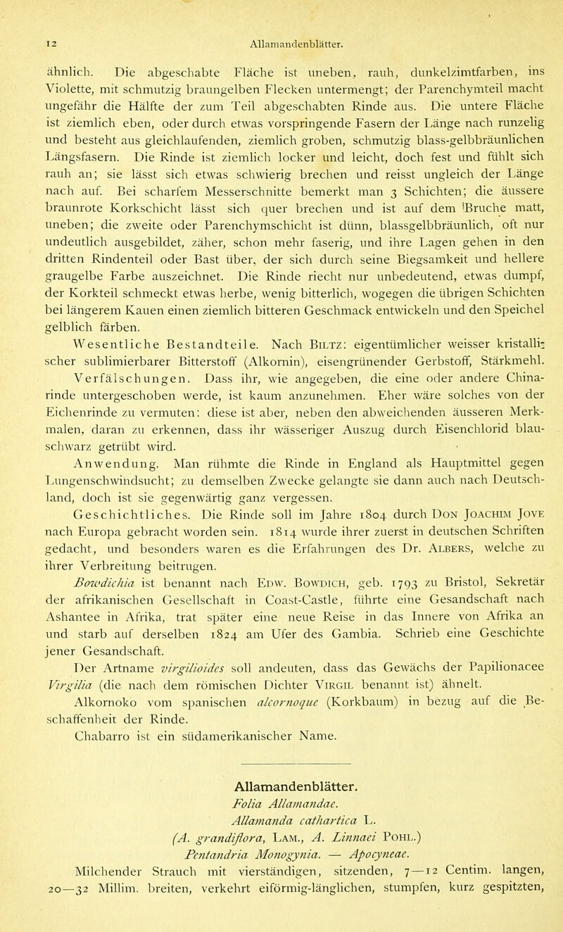 ähnlich. Die abgeschabte Fläche ist uneben, rauh, dunkelzimtfarben, ins Violette, mit schmutzig braungelben Flecken untermengt; der Parenchymteil macht ungefähr die Hälfte der zum Teil abgeschabten Rinde aus. Die untere Fläche ist ziemlich eben, oder durch etwas vorspringende Fasern der Länge nach runzelig und besteht aus gleichlaufenden, ziemlich groben, schmutzig blass-gelbbräunlichen Längsfasern. Die Rinde ist ziemHch locker und leicht, doch fest und fühlt sich rauh an; sie lässt sich etwas schwierig brechen und reisst ungleich der Länge nach auf Bei scharfem Messerschnitte bemerkt man 3 Schichten; die äussere braunrote Korkschicht lässt sich quer brechen und ist auf dem 'Bruche matt, uneben; die zweite oder Parenchymschicht ist dünn, blassgelbbräunlich, oft nur undeutlich ausgebildet, zäher, schon mehr faserig, und ihre Lagen gehen in den dritten Rindenteil oder Bast über, der sich durch seine Biegsamkeit und hellere graugelbe Farbe auszeichnet. Die Rinde riecht nur unbedeutend, etwas dumpf, der Korkteil schmeckt etwas lierbe, wenig bitterlich, wogegen die übrigen Schichten bei längerem Kauen einen ziemlich bitteren Geschmack entwickeln und den Speichel gelblich färben. Wesentliche Bestandteile. Nach Biltz: eigentümlicher weisser kristalli;; scher sublimierbarer Bitterstoff (Alkornin), eisengrünender Gerbstoff, Stärkmehl. Verfälschungen. Dass ihr, wie angegeben, die eine oder andere China- rinde untergeschoben werde, ist kaum anzunehmen. Eher wäre solches von der Eichenrinde zu vermuten: diese ist aber, neben den abweichenden äusseren Merk- malen, daran zu erkennen, dass ihr wässeriger Auszug durch Eisenchlorid blau- schwarz getrübt wird. Anwendung. Man rühmte die Rinde in England als Hauptmittel gegen Lungenschwiiidsucht; zu demselben Zwecke gelangte sie dann auch nach Deutsch- land, doch ist sie gegenwärtig ganz vergessen. Geschichtliches. Die Rinde soll im Jahre 1804 durch Don Joachim Jove nach Europa gebracht worden sein. 1814 wurde ihrer zuerst in deutschen Schriften gedacht, und besonders waren es die Erfahrungen des Dr. Albers, welche zu ihrer Verbreitung beitrugen. Borvdichia ist benannt nacli Edw. Bowdich, geb. 1793 zu Bristol, Sekretär der afrikanischen Gesellschaft in Coast-Castle, führte eine Gesandschaft nach Ashantee in Afrika, trat später eine neue Reise in das Innere von Afrika an und starb auf derselben 1824 am Ufer des Gambia. Schrieb eine Geschichte jener Gesandschaft. Der Artname virgUioides soll andeuten, dass das Gewäclis der Papilionacee Virgilia (die nach dem römischen Dichter Virgil benannt ist) ähnelt. Alkornoko vom spanischen alcornoque (Korkbaum) in bezug auf die Be- schaffenheit der Rinde. Chabarro ist ein südamerikanischer Name. AUamandenblätter. Folia Allamandae. Allatnanda cathartica L. (A. grandiflora, Lam., A. Lhinaei Pohl.) Pejitandria Monogynia. — Apocyneae. Milchender Strauch mit vierständigen, sitzenden, 7—12 Centim. langen, 20—32 Millim. breiten, verkehrt eiförmig-länglichen, stumpfen, kurz gespitzten,