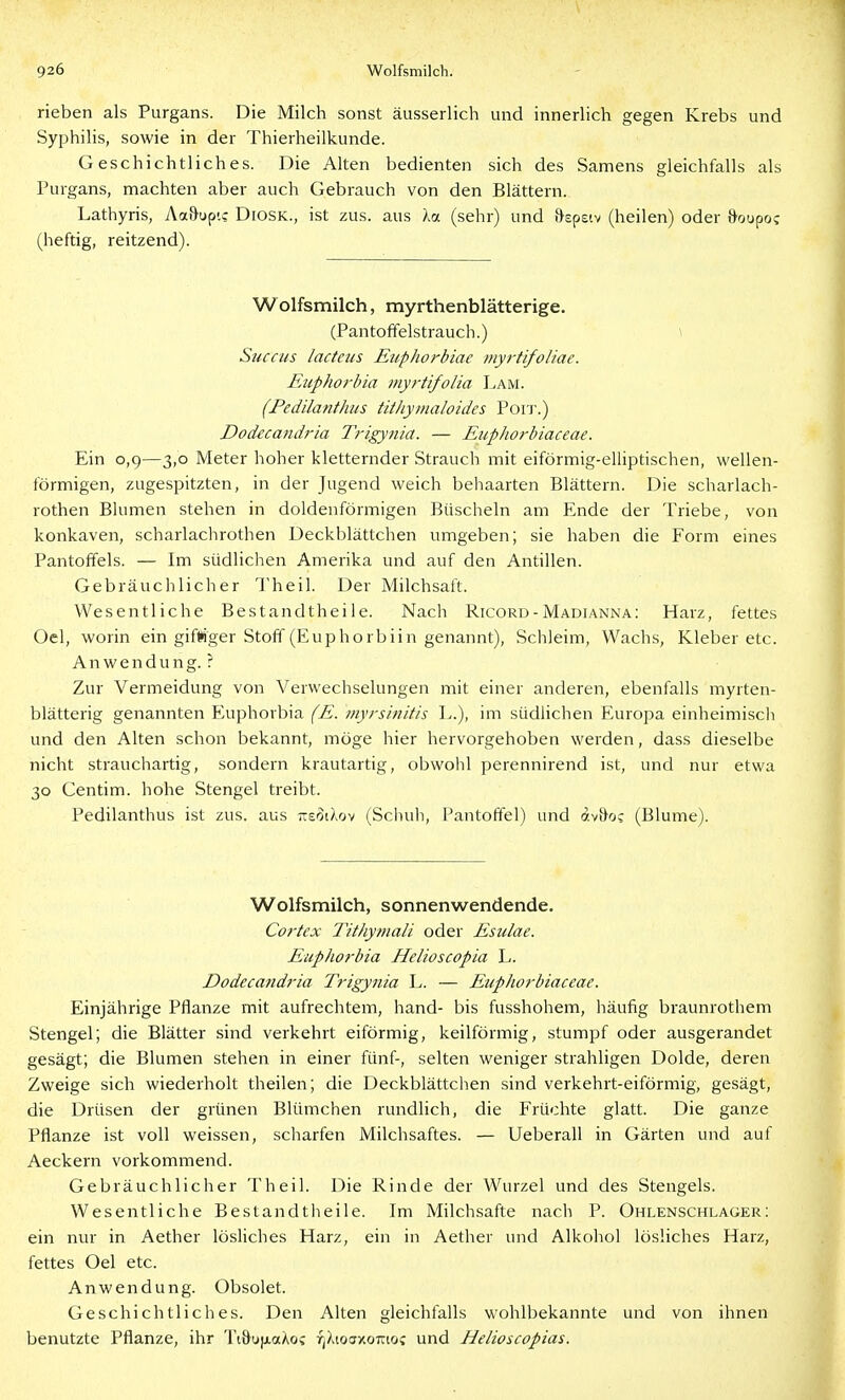 rieben als Purgans. Die Milch sonst äusserlich und innerlich gegen Krebs und Syphilis, sowie in der Thierheilkunde. Geschichtliches. Die Alten bedienten sich des Samens gleichfalls als Purgans, machten aber auch Gebrauch von den Blättern. Lathyris, Aa&upic DiosK., ist zus. aus Xa (sehr) und iJspeiv (heilen) oder ftoupo? (heftig, reitzend). Wolfsmilch, myrthenblätterige. (Pantoffelstrauch.) i Succus lacteus Euphorbiae myrtifoliae. Eupho7-bia myrtifoUa Lam. (Fedilanthus titliytnaloides Poit.) Dodtcandria Trigynia. — EiipJiorbiaceae. Ein 0,9—3,0 Meter hoher kletternder Strauch mit eiförmig-elliptischen, wellen- förmigen, zugespitzten, in der Jugend weich beliaarten Blättern. Die scharlach- rothen Blumen stehen in doldenförmigen Büscheln am Ende der Triebe, von konkaven, scharlachrothen Deckblättchen umgeben; sie haben die Form eines Pantoffels. — Im südlichen Amerika und auf den Antillen. Gebräuchlicher Theil. Der Milchsaft. Wesentliche Bestandtheile. Nach Ricord-Madianna: Harz, fettes Oel, worin ein gifttger Stoff (Euphorbiin genannt), Schleim, Wachs, Kleber etc. Anwendung.? Zur Vermeidung von Verwechselungen mit einer anderen, ebenfalls myrten- blätterig genannten Euphorbia (E. myrsiintis L.), im südlichen Europa einheimiscli und den Alten schon bekannt, möge hier hervorgehoben werden, dass dieselbe nicht strauchartig, sondern krautartig, obwohl perennirend ist, und nur etwa 30 Centim. hohe Stengel treibt. Pedilanthus ist zus. aus ttsoiXov (Schuh, Pantoffel) und avi^o? (Blume). Wolfsmilch, sonnenwendende. Cortcx Tit/iymali oder Esiilae. Eupliorbia Helioscopia L. Dodecand)-ia Trigynia L. — Euphorbiaceae. Einjährige Pflanze mit aufrechtem, band- bis fusshohem, häufig braunrothem Stengel; die Blätter sind verkehrt eiförmig, keilförmig, stumpf oder ausgerandet gesägt; die Blumen stehen in einer fünf-, selten weniger strahligen Dolde, deren Zweige sich wiederholt theilen; die Deckblättclien sind verkehrt-eiförmig, gesägt, die Drüsen der grünen Blümchen rundlich, die Früchte glatt. Die ganze Pflanze ist voll weissen, scharfen Milchsaftes. — Ueberall in Gärten und auf Aeckern vorkommend. Gebräuchlicher Theil. Die Rinde der Wurzel und des Stengels. Wesentliche Bestandtheile. Im Milchsafte nach P. Ohlenschlager: ein nur in Aether lösliches Harz, ein in Aether und Alkohol lösliches Harz, fettes Oel etc. Anwendung. Obsolet. Geschichtliches. Den Alten gleichfalls wohlbekannte und von ihnen benutzte Pflanze, ihr Tidu|j.aXos rjXioaxoTCioj und Helioscopias.