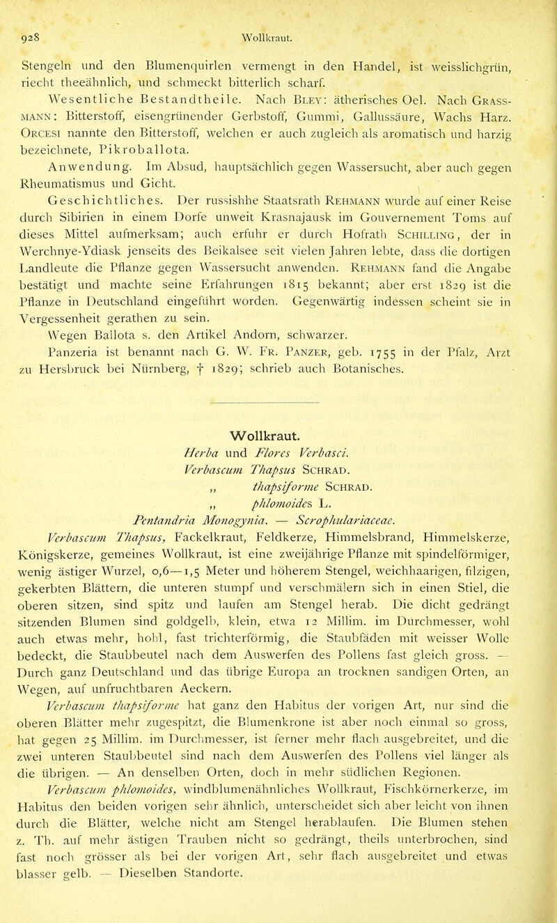 Stengeln und den Blumenquirlen vermengt in den Handel, ist weisslichgriin, riecht theeähnlich, und schmeckt bitterlich scharf. Wesentliche Bestandtheile. Nach Bley: ätherisches Oel. Nach Grass- mann: Bitterstoff, eisengrünender Gerbstoff, Gummi, Gallussäure, Wachs Harz. Orcesi nannte den Bitterstoff, welchen er auch zugleich als aromatisch und harzig bezeichnete, Pikroballota. Anwendung. Im Absud, hauptsächlich gegen Wassersucht, aber auch gegen Rheumatismus und Gicht. Geschichtliches. Der russishhe Staatsrath Rehmann wurde auf einer Reise durch Sibirien in einem Dorfe unweit Krasnajausk im Gouvernement Toms auf dieses Mittel aufmerksam; auch erfuhr er durch Hofrath Schilling, der in Werchnye-Ydiask jenseits des ßeikalsee seit vielen Jahren lebte, dass die dortigen Landleute die Pflanze gegen Wassersucht anwenden. Rehmann fand die Angabe bestätigt und machte seine Erfahrungen 1815 bekannt; aber erst 1829 ist die Pflanze in Deutschland eingeführt worden. Gegenwärtig indessen scheint sie in Vergessenheit gerathen zu sein. Wegen Ballota s. den Artikel Andorn, schwarzer. Panzeria ist benannt nach G. W. Fr. Panzer, geb. 1755 in der Pfalz, Arzt zu Hersbruck bei Nürnberg, f 1829; schrieb auch Botanisches. Wollkraut. Herba und Flores Verbasci. Verbascum Tliapsus Schrad. ,, thapsiforme Schrad. ,, phlomoidei, L. Pentandria Monogynia. — Scrophulariaceae. Verbascum Thapsus, Fackelkraut, Feldkerze, Himmelsbrand, Himmelskerze, Königskerze, gemeines Wollkraut, ist eine zweijährige Pflanze mit spindelförmiger, wenig ästiger Wurzel, 0,6—1,5 Meter und höherem Stengel, weichhaarigen, filzigen, gekerbten Blättern, die unteren stumpf und verschmäiern sich in einen Stiel, die oberen sitzen, sind spitz und laufen am Stengel herab. Die dicht gedrängt sitzenden Blumen sind goldgelb, klein, etwa 12 Millim. im Durchmesser, wohl auch etwas mehr, hohl, fast trichterförmig, die Staubfäden mit weisser Wolle bedeckt, die Staubbeutel nach dem Auswerfen des Pollens fast gleich gross. — Durch ganz Deutschland und das übrige Europa an trocknen sandigen Orten, an Wegen, auf unfruchtbaren Aeckern. Verbascum thapsiforme hat ganz den Habitus der vorigen Art, nur sind die oberen Blätter mehr zugespitzt, die Blumenkrone ist aber noch einmal so gross, hat gegen 25 Millim. im Durchmesser, ist ferner mehr flach ausgebreitet, und die zwei unteren Staubbeutel sind nach dem Auswerfen des Pollens viel länger als die übrigen. — An denselben Orten, doch in mehr südlichen Regionen. Verbascum plilomoides, windblumenähnliches Wollkraut, Fischkörnerkerze, im Habitus den beiden vorigen sehr ähnlicli, unterscheidet sich aber leicht von ihnen durch die Blätter, welche nicht am Stengel herablaufen. Die Blumen stehen z. Th. auf mehr ästigen Trauben nicht so gedrängt, theils unterbrochen, sind fast noch grösser als bei der vorigen Art, sehr flach ausgebreitet und etwas blasser gelb. — Dieselben Standorte.