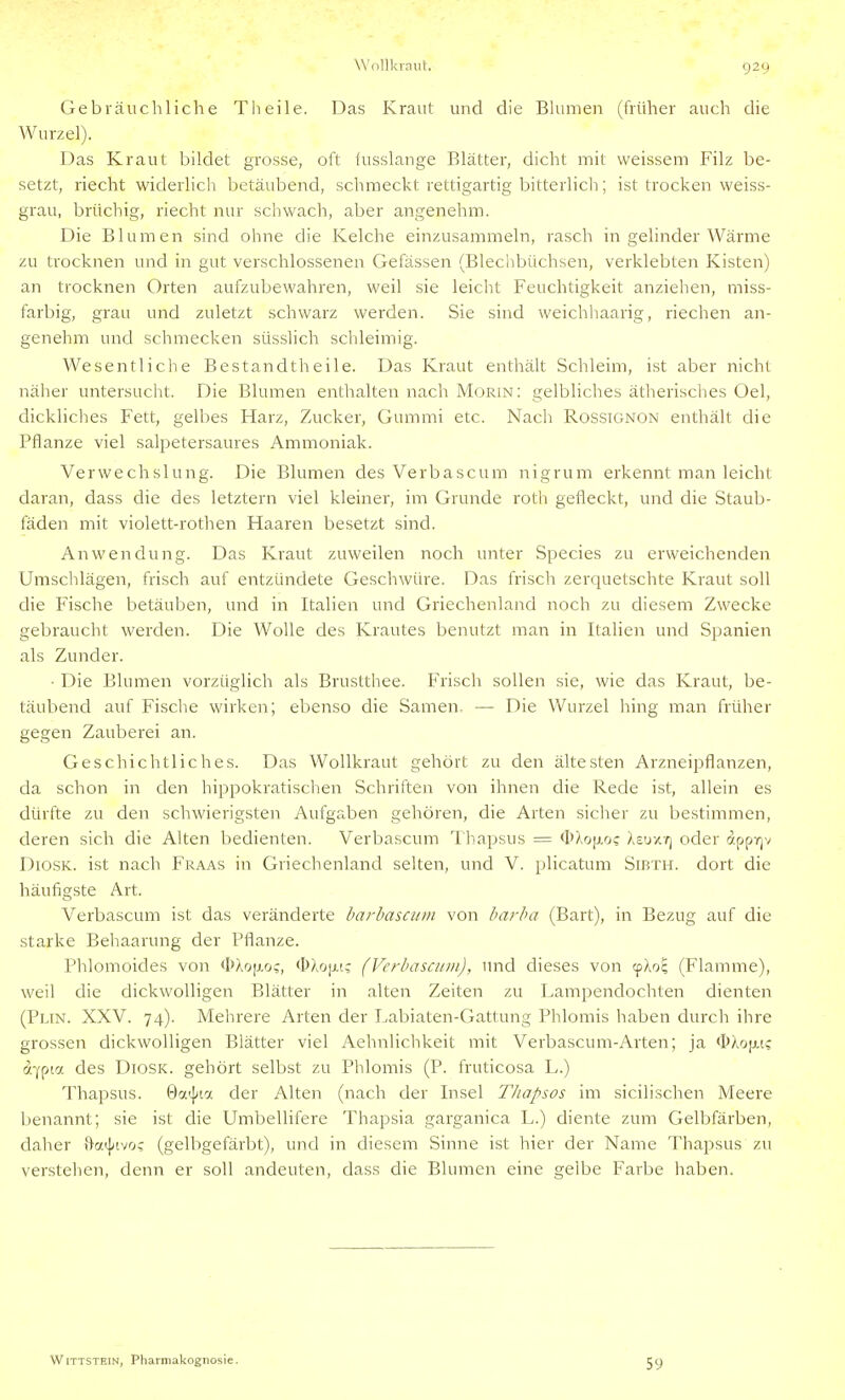 Gebräucliliche Theile. Das Kraut und die Blumen (früher auch die Wurzel). Das Kraut bildet grosse, oft lusslange Blätter, dicht mit weissem Filz be- setzt, riecht widerlich betäubend, schmeckt rettigartig bitterlich; ist trocken weiss- grau, brüchig, riecht nur schwach, aber angenehm. Die Blumen sind ohne die Kelche einzusammeln, rasch in gelinder Wärme zu trocknen und in gut verschlossenen Gefässen (Blechbüchsen, verklebten Kisten) an trocknen Orten aufzubewahren, weil sie leicht Feuchtigkeit anziehen, miss- farbig, grau und zuletzt schwarz werden. Sie sind weichhaarig, riechen an- genehm und schmecken süsslich schleimig. Wesentliche Bestandtheile. Das Kraut enthält Schleim, ist aber nicht näher untersucht. Die Blumen enthalten nach Morin: gelbliches ätherisches Oel, dickliches Fett, gelbes Harz, Zucker, Gummi etc. Nach Rossignon enthält die Pflanze viel salpetersaures Ammoniak. Verwechslung. Die Blumen des Verbascum nigrum erkennt man leicht daran, dass die des letztern viel kleiner, im Grunde roth gefleckt, und die Staub- fäden mit violett-rothen Haaren besetzt sind. Anwendung. Das Kraut zuweilen noch unter Species zu erweichenden Umschlägen, frisch auf entzündete Geschwüre. Das frisch zerquetschte Kraut soll die Fische betäuben, und in Italien und Griechenland noch zu diesem Zwecke gebraucht werden. Die Wolle des Krautes benutzt man in Italien und Spanien als Zunder. • Die Blumen vorzüglich als Brustthee. Frisch sollen sie, wie das Kraut, be- täubend auf Fische wirken; ebenso die Samen- — Die Wurzel hing man früher gegen Zauberei an. Geschichtliches. Das Wollkraut gehört zu den ältesten Arzneipflanzen, da schon in den hippokratisclien Schriften von ihnen die Rede ist, allein es dürfte zu den schwierigsten Aufgaben gehören, die Arten sicher zu bestimmen, deren sich die Alten bedienten. Verbascum Thapsus == <I>Xojj,oc Xsuxy) oder (Jppyjv DiosK. ist nach Fraas in Griechenland selten, und V. plicatum Sibth. dort die häufigste Art. Verbascum ist das veränderte barbasci/in von harha (Bart), in Bezug auf die starke Behaarung der Pflanze. Phlomoides von <I)AoiJ,o^, <I)Ao;j.[? (Vcrbasciiui), und dieses von tpXo^ (Flamme), weil die dickwolligen Blätter in alten Zeiten zu Lampendochten dienten (Plin. XXV. 74). Mehrere Arten der Labiaten-Gattung Phlomis haben durch ihre grossen dickwoUigen Blätter viel Aehnlichkeit mit Verbascum-Arten; ja «tÄcifAt? a-fpia des DiosK. gehört selbst zu Phlomis (P. fruticosa L.) Thapsus. öaij^ia der Alten (nach der Insel Tliapsos im sicilischen Meere benannt; sie ist die Umbellifere Thapsia garganica L.) diente zum Gelbfärben, daher ftatj/ivo? (gelbgefärbt), und in diesem Sinne ist hier der Name Thapsus zu verstehen, denn er soll andeuten, dass die Blumen eine gelbe Farbe haben. Wittstein, Pharmakognosie. 59