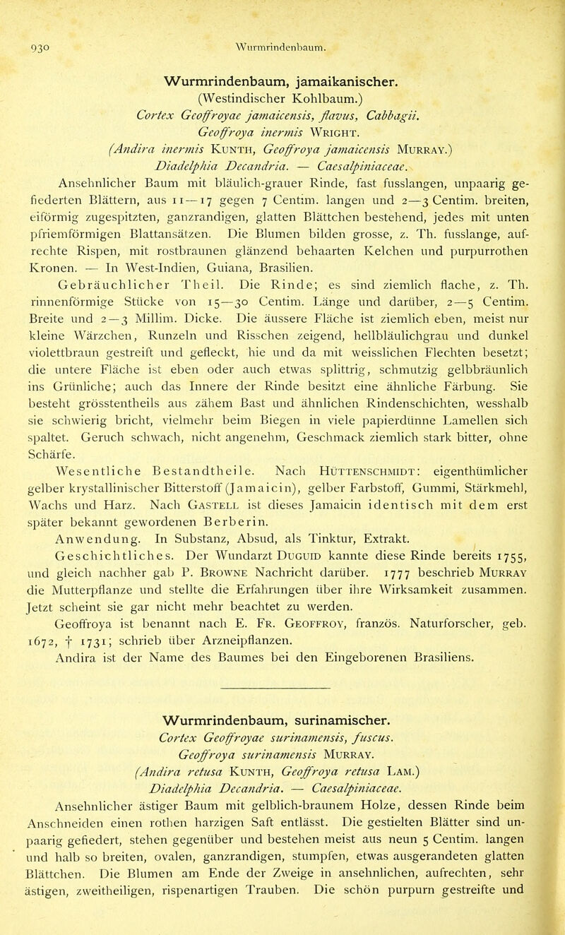 Wurmrindenbaum, jamaikanischer. (Westindischer Kohlbaum.) Co7-tex Geoffroyae jamaicensis, ßavus, Cabbagii. Geoffroya inermis Wright. (Andira inermis Kunth, Geoffroya jamaicensis Murray.) Diadelphia Decandria. — Caesalpiniaceae. Ansehnlicher Baum mit bläulich-grauer Rinde, fast fusslangen, unpaarig ge- fiederten Blättern, aus ii —17 gegen 7 Centim. langen und 2—3 Centim. breiten, eiförmig zugespitzten, ganzrandigen, glatten Blättchen bestehend, jedes mit unten pfriemförmigen Blattansätzen. Die Blumen bilden grosse, z. Th. fusslange, auf- rechte Rispen, mit rostbraunen glänzend behaarten Kelchen und purpurrothen Kronen. — In West-Indien, Guiana, Brasilien. Gebräuchlicher Theil. Die Rinde; es sind ziemlich flache, z. Th. rinnenförmige Stücke von 15—30 Centim. Länge und darüber, 2—5 Centim. Breite und 2 — 3 Millim. Dicke. Die äussere Fläche ist ziemlich eben, meist nur kleine Wärzchen, Runzeln und Risschen zeigend, hellbläulichgrau und dunkel violettbraun gestreift und gefleckt, hie und da mit weisslichen Flechten besetzt; die untere Fläche ist eben oder auch etwas splittrig, schmutzig gelbbräunlich ins Grünhche; auch das Innere der Rinde besitzt eine ähnliche Färbung. Sie besteht grösstentheils aus zähem Bast und ähnlichen Rindenschichten, wesshalb sie schwierig bricht, vielmehr beim Biegen in viele papierdünne Lamellen sich spaltet. Geruch schwach, nicht angenehm, Geschmack ziemlich stark bitter, ohne Schärfe. Wesentliche Bestandtheile. Nach Hüttenschmidt: eigenthümlicher gelber krystallinischer Bitterstoff (Jamalein), gelber Farbstoff, Gummi, Stärkmehl, Wachs und Harz. Nach Gastell ist dieses Jamaicin identisch mit dem erst später bekannt gewordenen Berber in. Anwendung. In Substanz, Absud, als Tinktur, Extrakt. Geschichtliches. Der Wundarzt Duguid kannte diese Rinde bereits 1755, und gleich nachher gab P. Browne Nachricht darüber. 1777 beschrieb Murray die Mutterpflanze und stellte die Erfahrungen über ilire Wirksamkeit zusammen. Jetzt scheint sie gar nicht mehr beachtet zu werden. Geoffroya ist benannt nach E. Fr. Geoffroy, französ. Naturforscher, geb. 1672, f 1731; schrieb über Arzneipflanzen. Andira ist der Name des Baumes bei den Eingeborenen Brasiliens. Wurmrindenbaum, surinamischer. Cortex Geoffroyae surinametisis, fuscus. Geoffroya surinamensis Murray. (Andira retusa Kunth, Geoffroya retusa Lam.) Diadelphia Decandria. — Caesalpiniaceae. Ansehnlicher ästiger Baum mit gelblich-braunem Holze, dessen Rinde beim Anschneiden einen rothen harzigen Saft entlässt. Die gestielten Blätter sind un- paarig gefiedert, stehen gegenüber und bestehen meist aus neun 5 Centim. langen und halb so breiten, ovalen, ganzrandigen, stumpfen, etwas ausgerandeten glatten Blättchen. Die Blumen am Ende der Zweige in ansehnlichen, aufrechten, sehr ästigen, zweitheiligen, rispenardgen Trauben. Die schön purpurn gestreifte und