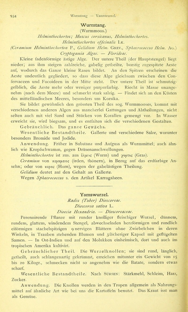 Wurmtang. (Wurmmoos.) Helminthochortos; Müsens corsicanus, Helminthochortos. Helmmthochortos officinalis Lk. (Ceramium Hehnint/wchorton P., Gelidium Helm. Grev., Sphaerococcus Hehn. Ag.) Cryptogamia Algae. — Florideae. Kleine fadenförmige ästige Alge. Der untere Theil (der Hauptstengel) liegt nieder; aus ihm steigen zahlreiche, gabelig getheilte, borstig zugespitzte Aeste auf, wodurch das Ganze kleine Rasen bildet. An den Spitzen erscheinen die Aeste undeutlich gegliedert, so dass diese Alge gleichsam zwischen den Con- fervaceen und Fucoideen in der Mitte steht. Der untere Theil ist schmutzig- gelblich, die Aeste mehr oder weniger purpurfarbig. Riecht in Masse unange- nehm (nach dem Meere) und schmeckt stark salzig. — Findet sich an den Küsten des mittelländischen Meeres, besonders um Korsika. Sie bildet gewöhnlich den grössten Theil des sog. Wurramooses, kommt mit verschiedenen anderen Algen aus mancherlei Gattungen und Abtheilungen, nicht selten auch mit viel Sand und Stücken von Korallen gemengt vor. In Wasser erweicht sie, wird biegsam, und es entfalten sich die verschiedenen Gestalten. Gebräuchlich. Das ganze Gewächs. Wesentliche Bestandtheile. Gallerte und verschiedene Salze, worunter besonders Bromide und Jodide. Anwendung. Früher in Substanz und Aufguss als Wurmmittel; auch ähn- lich wie Kropfschwamm, gegen Drüsenanschwellungen. Helminthochortos ist zus. aus eXjj,tvs (Wurm) und yop-co? (Gras). Ceramium von xspafjieto? (irden, thönern), in Bezug auf das erdfarbige An- sehn; oder von xspa? (Horn), wegen der gabelästigen Theilung. Gelidium deutet aul den Gehalt an Gallerte. Wegen Sphaerococcus s. den Artikel Karragaheen. Yamswurzel. Radix (Tuber) Dioscoreae. Dioscorea sativa L. Dioecia Hexandria. — Dioscoreaceae. Perennirende Pflanze mit runder knolliger fleischiger Wurzel, dünnem, rundem, glattem, windendem Stengel, abwechselnden herzförmigen und rundlich eiförmigen stachelspitzigen 9 nervigen Blättern ohne Zwiebelchen in deren Winkeln, in Trauben stehenden Blumen und 3 fächeriger Kapsel mit geflügelten Samen. — In Ost-Indien und auf den Molukken einheimisch, dort und auch im tropischen Amerika kultivirt. Gebräuchlicher Theil. Die Wurzelknollen; sie sind rund, länglich, getheilt, auch schlangenartig gekrümmt, erreichen mitunter ein Gewicht von 15 bis 20 Kilogr., schmecken nicht so angenehm wie die Batate, sondern etwas scharf. Wesentliche Bestandt heile. Nach Sürsen: Stärkmehl, Schleim, Harz, Zucker. Anwendung. Die Knollen werden in den Tropen allgemein als Nahrungs- mittel auf ähnliche Art wie bei uns die Kartoffeln benutzt. Das Kraut isst man als Gemüse.