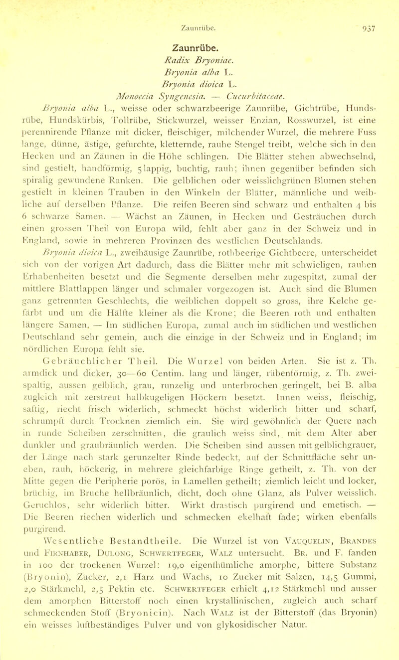 Zaunrübe. Radix Bryoniac. Bryonia alba L. Bryonia dioica L. Monoecia Syngenesia, — Cucurbitaceae. Bryonia alba L., weisse oder schwarzbeerige Zaunrübe, Gichtnibe, Hunds- rübe, Hundskürbis, Tollrübe, Stickwurzel, weisser Enzian, Rosswurzel, ist eine perennirende Pflanze mit dicker, fleischiger, milchender AVurzel, die mehrere Fuss lange, dünne, ästige, gefurchte, kletternde, rauhe Stengel treibt, welche sich in den Hecken und an Zäunen in die Höhe schlingen. Die Blätter stehen abwechselnd, sind gestielt, bandförmig, 5lappig, buchtig, rauh; ihnen gegenüber befinden sich spiralig gewundene Ranken. Die gelblichen oder weisslichgrünen Blumen stehen gestielt in kleinen Trauben in den Winkeln der Blätter, männliche und weib- liche auf derselben Pflanze. Die reifen Beeren sind schwarz und enthalten 4 bis 6 schwarze Samen. — Wächst an Zäunen, in Hecken und Gesträuchen durch einen grossen Thei! von Europa wild, fehlt aber ganz in der Schweiz und in England, sowie in mehreren Provinzen des westlichen Deutschlands. Bryonia dioica L., zweihäusige Zaunrübe, rotlibeerige Gichtbeere, unterscheidet sich von der vorigen Art dadurch, dass die Blätter mehr mit schwieligen, raulien Erhabenheiten besetzt und die Segmente derselben mehr zugespitzt, zumal der mittlere Blattlappen länger und schmaler vorgezogen ist. Auch sind die Blumen ganz getrennten Geschlechts, die weiblichen doppelt so gross, ihre Kelche ge- färbt und um die Hälfte kleiner als die Krone; die Beeren roth und enthalten längere Samen. — Im südlichen Europa, zumal auch im südlichen und westlichen Deutschland sehr gemein, auch die einzige in der Schweiz und in England; im nördhchen Euro^Da fehlt sie. Gebräuchlicher Theil. Die Wurzel von beiden Arten. Sie ist z. Th. armdick und dicker, 30—60 Centim. lang und länger, rübentörmig, z. Th. zwei- spaltig, aussen gelblich, grau, runzelig und unterbrochen geringelt, bei B. alba zugleich mit zerstreut halbkugeligen Höckern besetzt. Innen weiss, fleischig, saftig, riecht frisch widerlich, schmeckt höchst widerlich bitter und scharf, schrumpft durch Trocknen ziemlich ein. Sie wird gewöhnlich der Quere nach in runde Scheiben zerschnitten, die graulich weiss sind, mit dem Alter aber dunkler und graubräunlich werden. Die Scheiben sind aussen mit gelblichgrauer, der Länge nach stark gerunzelter Rinde bedeckt, auf der Schnittfläclie sehr un- eben, rauh, höckerig, in mehrere gleichfarbige Ringe getheilt, z. Th. von der Mitte gegen die Peripherie porös, in Eamellen getheilt; ziemlich leicht und locker, brüchig, im Bruche hellbräunlich, dicht, doch ohne Glanz, als Pulver weisslich. Geruchlos, sehr widerlich bitter. Wirkt drastisch purgirend und emetisch. — Die Beeren riechen widerlich und schmecken ekelhaft fade; wirken ebenfalls purgirend. Wesentliche Bestandtheile. Die Wurzel ist von Vauquelin, Brandes und EiKNHABER, DuLüNG, ScHWERTFEGER, Walz untcrsucht. Br. und F. fanden in 100 der trockenen Wurzel: 19,0 eigenthümliche amorphe, bittere Substanz (Bryonin), Zucker, 2,1 Harz und Wachs, 10 Zucker mit Salzen, 14,5 Gummi, 2,0 Stärkmehl, 2,5 Pektin etc. Schwertfeger erhielt 4,12 Stärkmehl und ausser dem amorphen Bitterstoff noch einen krystallinischen, zugleich aucli scharf schmeckenden Stoff (Bryonicin). Nach Walz ist der Bitterstoff' (das Bryonin) ein weisses luftbeständiges Pulver und von glykosidischer Natur,