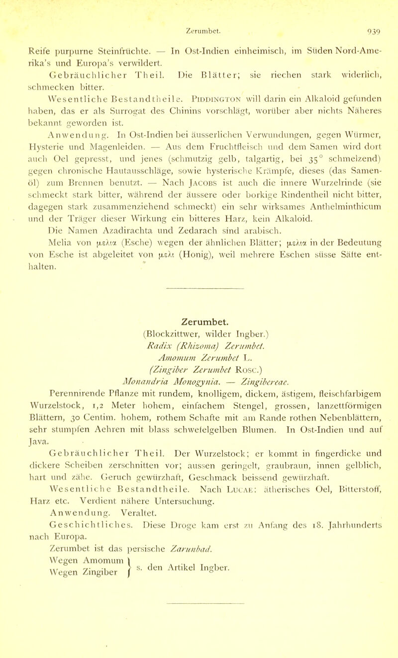 Reife purpurne Steinfrüchte. — In Ost-Indien einheimisch, im Süden Nord-Ame- rika's und Europa's verwildert. Gebräuchlicher Theil. Die Blätter; sie riechen stark widerHch, schmecken bitter. Wesentliche Bestandtheile. Piddington will darin ein Alkaloid gefunden haben, das er als Surrogat des Chinins vorschlägt, worüber aber nichts Näheres bekannt geworden ist. Anwendung. In Ost-Indien bei äusserlichen Verwundungen, gegen Würmer, Hysterie und Magenleiden. — Aus dem Fruchtfleisch und dem Samen wird dort auch Oel gepresst, und jenes (schmutzig gelb, talgartig, bei 35° schmelzend) gegen chronische Hautausschläge, sowie hysterisclie Krämpfe, dieses (das Samen- öl) zum Brennen benutzt. — Nach Jacobs ist auch die innere Wurzelrinde (sie schmeckt stark bitter, während der äussere oder borkige Rindentheil nicht bitter, dagegen stark zusammenziehend sclimeckt) ein sehr wirksames Anthelminthicum und der Träger dieser Wirkung ein bitteres Harz, kein Alkaloid. Die Namen Azadirachta und Zedarach sind arabisch. Melia von [xsAta (Esche) wegen der ähnlichen Blätter; (xeMa in der Bedeutung von Esche ist abgeleitet von jjLsXt (Honig), weil mehrere Eschen süsse Sätte ent- halten. Zerumbet. (Blockzittwer, wilder Iiigber.) Radix (Rliizoma) Zerumbet. Anionium Zerumbet L. (Zingiber Zerumbet Rose.) Monaiidria Monogynia. — Ziiigibereae. Perennirende Pflanze mit rundem, knolligem, dickem, ästigem, fleischfarbigem Wurzelstock, 1,2 Meter hohem, einfachem Stengel, grossen, lanzettförmigen Blättern, 30 Centim. hohem, rothem Schafte mit am Rande rothen Nebenblättern, sehr stumpfen Aehren mit blass schwefelgelben Blumen. In Ost-Indien und auf Java. Gebräuchlicher Theil. Der Wurzelstock; er kommt in fingerdicke und dickere Scheiben zerschnitten vor; aussen geringelt, graubraun, innen gelblich, hart und zähe. Geruch gewürzhaft, Geschmack beissend gewürzhaft. Wesentliche Bestandtheile. Nach Lucae: ätherisches Oel, Bitterstofl', Harz etc. Verdient nähere Untersuchung. Anwendung. Veraltet. Geschichtliches. Diese Droge kam erst /.u Anfang des 18. Jahrhunderts nach Europa. Zerumbet ist das persische Zaruiibad. Wegen Amomum Wegen Zingiber s. den Artikel Ingber.