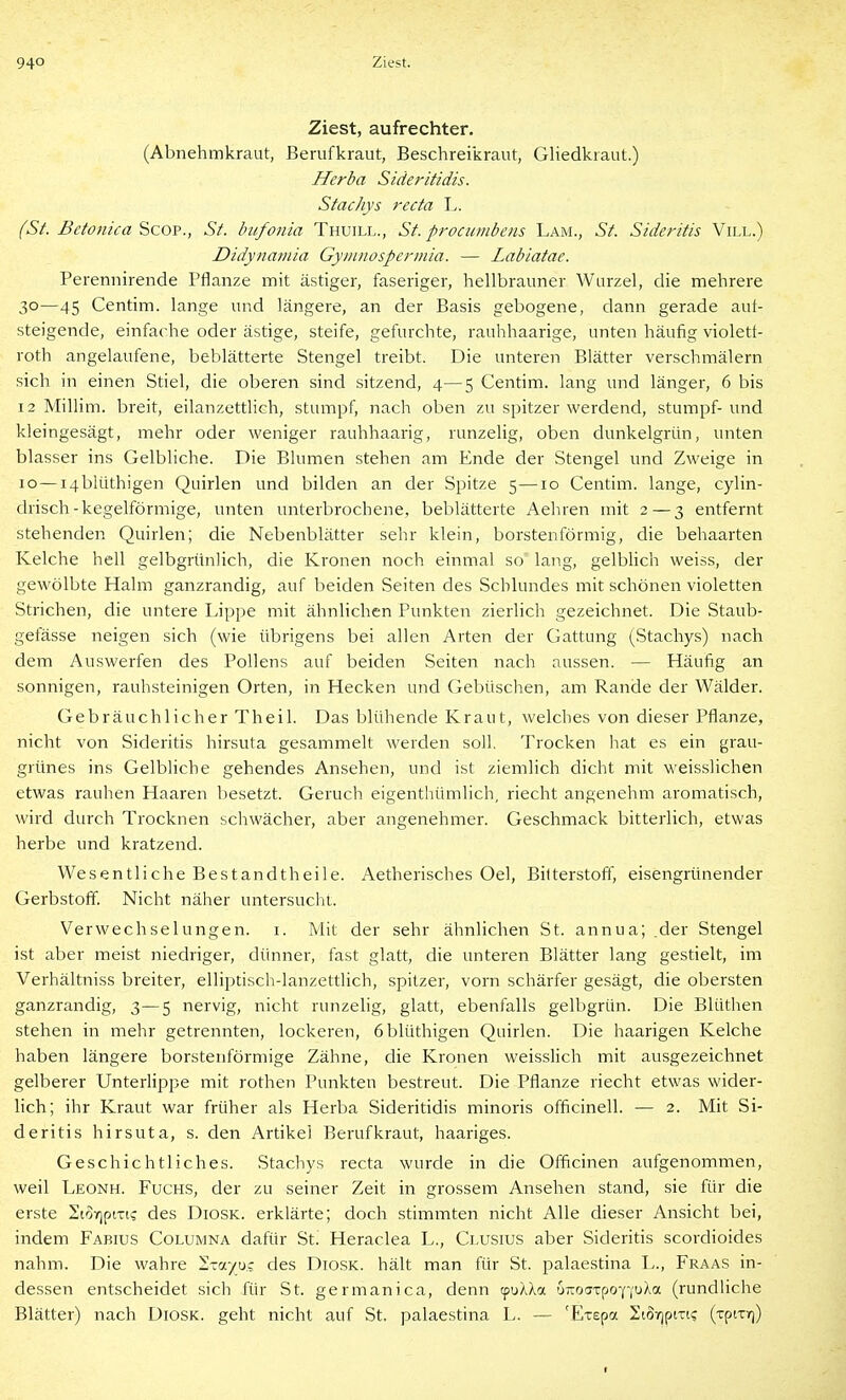 Ziest, aufrechter. (Abnehmkraut, Berufkraut, Beschreikraut, Gliedkiaut.) Herba Sideritidis. Stachys recta L. (St. Betonica'ücov., St. bufonia Thuill., St. procumbeiis Lam., St. Sideritis Vill.) Didynamia Gyiiinospennia. — Labiatae. Perennirende Pflanze mit ästiger, faseriger, hellbrauner Wurzel, die mehrere 30—45 Centim. lange und längere, an der Basis gebogene, dann gerade aut- steigende, einfache oder ästige, steife, gefurchte, rauhhaarige, unten häufig violett- roth angelaufene, beblätterte Stengel treibt. Die unteren Blätter verschmälern sich in einen Stiel, die oberen sind sitzend, 4—5 Centim. lang und länger, 6 bis 12 Millim. breit, eilanzettlich, stumpf, nach oben zu spitzer werdend, stumpf-und kleingesägt, mehr oder weniger rauhhaarig, runzelig, oben dunkelgrün, unten blasser ins Gelbliche. Die Blumen stehen am Ende der Stengel und Zweige in 10—i4blüthigen Quirlen und bilden an der Spitze 5—10 Centim. lange, cylin- drisch-kegelförmige, unten unterbrochene, beblätterte Aehren mit 2—3 entfernt stehenden Quirlen; die Nebenblätter sehr klein, borstenförmig, die behaarten Kelche hell gelbgrihilich, die Kronen noch einmal so lang, gelbhch weiss, der gewölbte Halm ganzrandig, auf beiden Seiten des Schlundes mit schönen violetten Strichen, die untere Lippe mit ähnlichen Punkten zierlich gezeichnet. Die Staub- gefässe neigen sich (wie übrigens bei allen Arten der Gattung (Stachys) nach dem Auswerfen des Pollens auf beiden Seiten nach aussen. — Häufig an sonnigen, rauhsteinigen Orten, in Hecken und Gebüschen, am Rande der Wälder. Gebräuchlicher Theil. Das blühende Kraut, welches von dieser Pflanze, nicht von Sideritis hirsuta gesammelt werden soll. Trocken hat es ein grau- grünes ins Gelbliche gehendes Ansehen, und ist ziemlich dicht mit weisslichen etwas rauhen Haaren besetzt. Geruch eigenthümlich, riecht angenehm aromatisch, wird durch Trocknen schwächer, aber angenehmer. Geschmack bitterlich, etwas herbe und kratzend. Wesentliche Bestandtheile. Aetherisches Oel, Bitterstoff, eisengrünender Gerbstoff. Nicht näher untersucht. Verwechselungen, i. Mit der sehr ähnlichen St. annua; .der Stengel ist aber meist niedriger, dünner, fast glatt, die unteren Blätter lang gestielt, im Verhältniss breiter, elliptisch-lanzettlich, spitzer, vorn schärfer gesägt, die obersten ganzrandig, 3—5 nervig, nicht runzelig, glatt, ebenfalls gelbgrün. Die Blüthen stehen in mehr getrennten, lockeren, öblüthigen Quirlen. Die haarigen Kelche haben längere borstenförmige Zähne, die Kronen weisslich mit ausgezeichnet gelberer Unterlippe mit rothen Punkten bestreut. Die Pflanze riecht etwas wider- lich; ihr Kraut war früher als Herba Sideritidis minoris officinell. — 2. Mit Si- deritis hirsuta, s. den Artikel Berufkraut, haariges. Geschichtliches. Stachys recta wurde in die Officinen aufgenommen, weil Leonh. Fuchs, der zu seiner Zeit in grossem Ansehen stand, sie für die erste 2ioy]ptTic des DiosK. erklärte; doch stimmten nicht Alle dieser Ansicht bei, indem Fabius Columna dafür St! Heraclea L., Clusius aber Sideritis scordioides nahm. Die wahre ^toc/u.? des DiosK. hält man für St. palaestina L., Fraas in- dessen entscheidet sich für St. germanica, denn cpuXXa oiroaxpo-fi'UÄa (rundliche Blätter) nach Diosk. geht nicht auf St. palaestina L. — 'Etepa SioirjptTi? (irptTT])