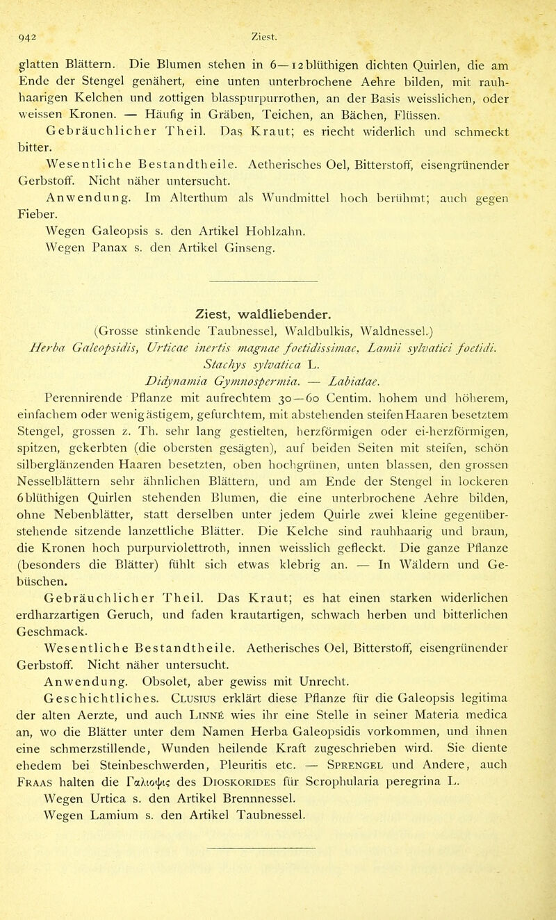 glatten Blättern. Die Blumen stehen in 6—lablüthigen dichten Quirlen, die am Ende der Stengel genähert, eine unten unterbrochene Aehre bilden, mit rauh- haarigen Kelchen und zottigen blasspurpurrothen, an der Basis weisslichen, oder weissen Kronen. — Häufig in Gräben, Teichen, an Bächen, Flüssen. Gebräuchlicher Theil. Das Kraut; es riecht widerhch und schmeckt bitter. Wesentliche Bestandtheile. Aetherisches Oel, Bitterstoff, eisengrünender Gerbstoff. Nicht näher untersucht. Anwendung. Im Alterthum als Wundmittel hoch berühmt; auch gegen Fieber. Wegen Galeopsis s. den Artikel Hohlzahn. Wegen Panax s. den Artikel Ginseng. Ziest, waldliebender. (Grosse stinkende Taubnessel, Waldbulkis, Waldnessel.) Herba Galcopsidis, Urticae incrtis magnac foctidissiinac. Lainit sylvatici foctidi. Stachys sylvatica L. Didynainia Gymnospcrmia, — Labiatae. Perennirende Pflanze mit aufrechtem 30 — 60 Centim. hohem und höherem, einfachem oder wenig ästigem, gefurchtem, mit abstehenden steifen Haaren besetztem Stengel, grossen z. Th. sehr lang gestielten, herzförmigen oder ei-herzförmigen, spitzen, gekerbten (die obersten gesägten), auf beiden Seiten mit steifen, schön silberglänzenden Haaren besetzten, oben hochgrünen, unten blassen, den grossen Nesselblättern sehr ähnlichen Blättern, und am Ende der Stengel in lockeren öblüthigen Quirlen stehenden Blumen, die eine unterbrochene Aehre bilden, ohne Nebenblätter, statt derselben unter jedem Quirle zwei kleine gegenüber- stehende sitzende lanzettliche Blätter. Die Kelche sind rauhhaarig und braun, die Kronen hoch purpurviolettroth, innen weisslich gefleckt. Die ganze Pflanze (besonders die Blätter) fühlt sich etwas klebrig an. — In Wäldern und Ge- büschen. Gebräuchlicher Theil. Das Kraut; es hat einen starken widerlichen erdharzartigen Geruch, und faden krautartigen, schwach herben und bitterlichen Geschmack. Wesentliche Bestandtheile. Aetherisches Oel, Bitterstoff, eisengrünender Gerbstoff. Nicht näher untersucht. Anwendung. Obsolet, aber gewiss mit Unrecht. Geschichtliches. Clusius erklärt diese Pflanze für die Galeopsis legitima der alten Aerzte, und auch Linn£ wies ihr eine Stelle in seiner Materia medica an, wo die Blätter unter dem Namen Herba Galeopsidis vorkommen, und ihnen eine schmerzstillende, Wunden heilende Kraft zugeschrieben wird. Sie diente ehedem bei Steinbeschwerden, Pleuritis etc. — Sprengel und Andere, auch Fraas halten die TaAtot}«? des Dioskorides für Scrophularia peregrina L. Wegen Urtica s. den Artikel Brennnessel. Wegen Lamium s. den Artikel Taubnessel.