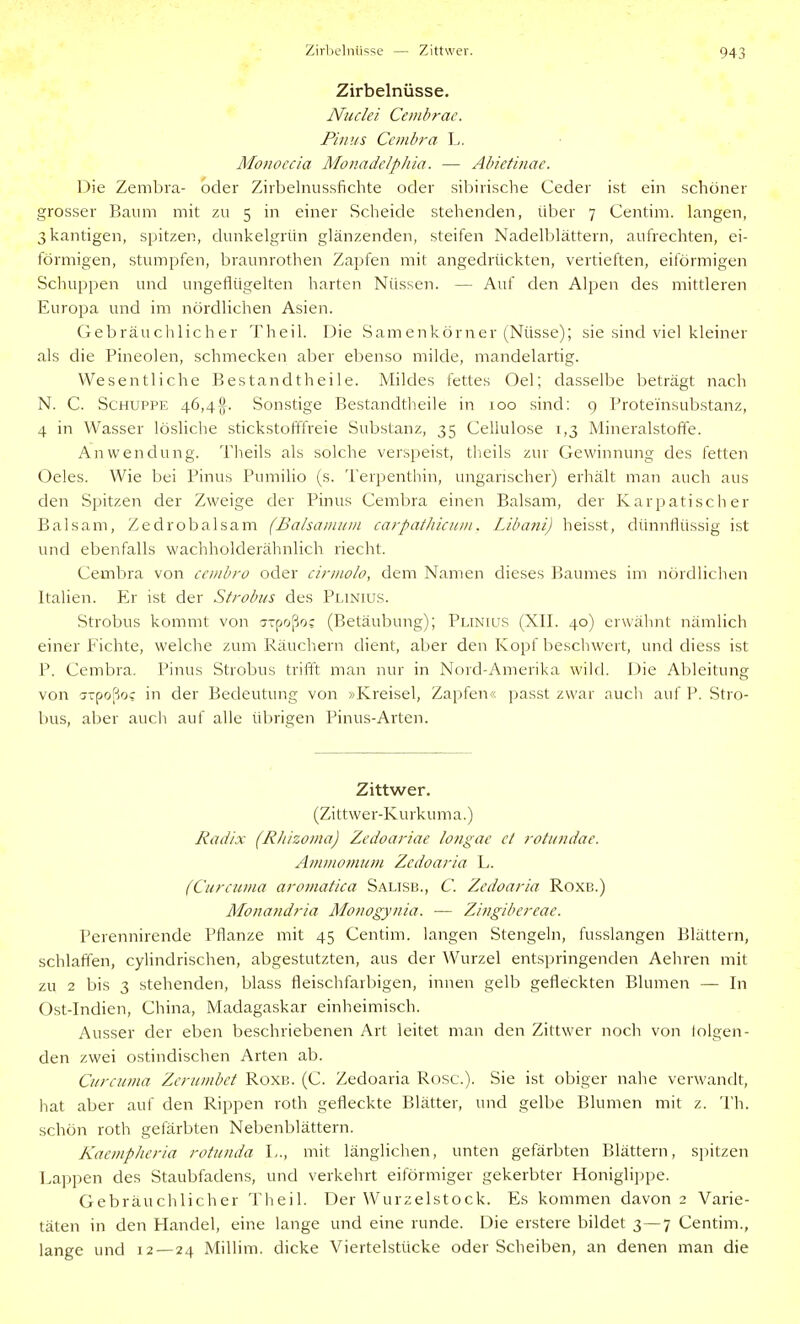 Zirl)elniisse — Zittwer. Zirbelnüsse. Nuclei Cembrac. Pinns Ceinbra L. Monoccia Moiiadelphia. — Abietinae. Die Zembra- oder Zirbelnussfichte oder sibirische Ceder ist ein schöner grosser Baum mit zu 5 in einer Scheide stehenden, über 7 Centim. langen, 3 kantigen, spitzen, dunkelgrün glänzenden, steifen Nadelblättern, aufrechten, ei- förmigen, stumpfen, braunrothen Zapfen mit angedrückten, vertieften, eiförmigen Schuppen und ungeflügelten harten Nüssen. — Auf den Alpen des mittleren Europa und im nördlichen Asien. Gebräuchlicher Theil. Die Samenkörner (Nüsse); sie sind viel kleiner als die Pineolen, schmecken aber ebenso milde, mandelartig. Wesentliche Bestandtheile. Mildes fettes Oel; dasselbe beträgt nach N. C. Schuppe 46,4^. Sonstige Bestandtheile in 100 sind: 9 Prote'insubstanz, 4 in Wasser lösliche stickstofffreie Substanz, 35 Cellulose 1,3 Mineralstoffe. Anwendung. Theils als solche verspeist, theils zur Gewinnung des fetten Oeles. Wie bei Pinns Pumilio (s. Terpenthin, ungarischer) erhält man auch aus den Spitzen der Zweige der Pinns Cembra einen Balsam, der Karpatischer Balsam, Zedrobalsam (Balsauiiuii carpatJiiciini. Libani) heisst, dünnflüssig ist und ebenfalls wachholderähnlich riecht. Cembra von ccuibro oder cinno/o, dem Namen dieses Baumes im nördlichen Italien. Er ist der Strobus des Plinius. Strohns kommt von j-poßo? (Betäubung); Plinrts (XII. 40) erwähnt nämlich einer Fichte, welche zum Räuchern dient, aber den Kopf beschwert, inid diess ist P. Cembra. Pinns Strobus trifft man nur in Nord-Amerika wild. Die Ableitung von atpoßoc in der Bedeutung von »Kreisel, Zapfen« passt zwar aucli auf P. Stro- bus, aber auch auf alle übrigen Pinus-Arten. Zittwer. (Zittwer-Kurkuma.) Jiadix (Rliizoma) Zedoariae longac et 7-otiindae. Ammoinum Zcdoaria L. (Curcnma aromatica Salisb., C. Zcdoaria Roxb.) Monandria Mo7wgynia. ■— Zingibereae. Perennirende Pflanze mit 45 Centim. langen Stengeln, fusslangen Blättern, schlaffen, cylindrischen, abgestutzten, aus der AVurzel entspringenden Aehren mit zu 2 bis 3 stehenden, blass fleischfarbigen, innen gelb gefleckten Blumen — In Ost-Indien, China, Madagaskar einheimisch. Ausser der eben beschriebenen Art leitet man den Zittwer noch von folgen- den zwei ostindischen Arten ab. Ciircuma Zcritmbct Röxe. (C. Zedoaria Rose). Sie ist obiger nahe verwandt, hat aber auf den Rippen roth gefleckte Blätter, und gelbe Blumen mit z. Th. schön roth gefärbten Nebenblättern. KaempJieria rotunda I,., mit länglichen, unten gefärbten Blättern, spitzen Lappen des Staubfadens, und verkehrt eiförmiger gekerbter Honiglippe. Gebräuchlicher Theil. Der Wurzelstock. Es kommen davon 2 Varie- täten in den Handel, eine lange und eine runde. Die erstere bildet 3—7 Centim., lange und 12 — 24 Millim. dicke Viertelstücke oder Scheiben, an denen man die