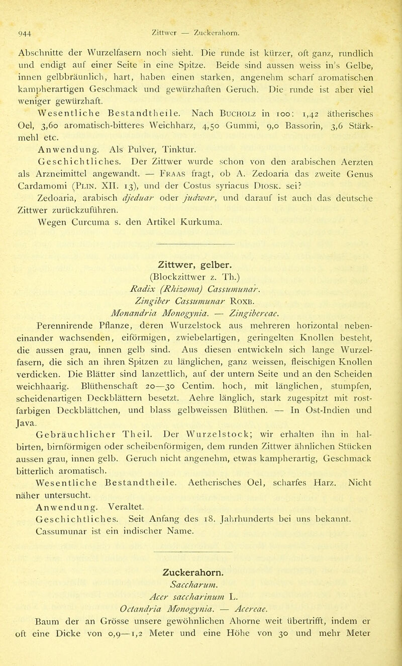 Zittwcr — Zuckerahorn. Abschnitte der Wurzelfasern noch sieht. Die runde ist kürzer, oft ganz, riindhch und endigt auf einer Seite in eine Spitze. Beide .sind aussen weiss in's Gelbe, innen gelbbräunlich, hart, haben einen starken, angenehm scharf aromatischen kampherartigen Gesclimack und gewürzhaften Geruch. Die runde ist aber viel weniger gewürzhaft. Wesentliche Bestandtheile. Nach Bucholz in loo: 1,42 ätherisches Oel, 3,60 aromatisch-bitteres Weichharz, 4,50 Gummi, 9,0 Bassorin, 3,6 Stärk- mehl etc. Anwendung. Als Pulver, Tinktur. Geschichtliches. Der Zittwer wurde schon von den arabischen Aerzten als Arzneimittel angewandt. — Fraas fragt, ob A. Zedoaria das zweite Genus Cardamomi (Plin. XIT. 13), und der Costus syriacus Diosk. sei? Zedoaria, arabisch djeduar oder judwar, und darauf ist auch das deutsche Zittwer zurückzuführen. Wegen Curcuma s. den Artikel Kurkuma. Zittwer, gelber. (Blockzittwer z. Th.) Radix (Rhizoma) Cassumunar. Zingiber Cassumunar Roxb. Monandria Monogynia. — Zingibereac. Perennirende Pflanze, deren Wurzelstock aus mehreren horizontal neben- einander wachsenden, eiförmigen, zwiebelartigen, geringelten Knollen besteht, die aussen grau, innen gelb sind. Aus diesen entwickeln sich lange Wurzel- fasern, die sich an ihren Spitzen zu länglichen, ganz weissen, fleischigen Knollen verdicken. Die Blätter sind lanzettlich, auf der untern Seite und an den Scheiden weichhaarig. Blüthenschaft 20—30 Centim. hoch, mit länglichen, stumpfen, scheidenartigen Deckblättern besetzt. Aehre länglich, stark zugespitzt mit rost- farbigen Deckblättchen, und blass gelbweissen Blüthen. — In Ost-Indien und Java. Gebräuchlicher Theil. Der Wurzelstock; wir erhalten ihn in hal- birten, birnförmigen oder scheibenförmigen, dem runden Zittwer ähnlichen Stücken aussen grau, innen gelb. Geruch nicht angenehm, etwas kampherartig, Geschmack bitterlich aromatisch. Wesentliche Bestandtheile. Aetherisches Oel, scharfes Harz. Nicht näher untersucht. Anwendung. Veraltet. Geschichtliches. Seit Anfang des 18. Jahrhunderts bei uns bekannt. Cassumunar ist ein indischer Name. Zuckerahorn. Saccharum. Acer saccharitium L. Octaftdria Monogynia. — Acereae. Baum der an Grösse unsere gewöhnlichen Ahorne weit übertrifft, indem er oft eine Dicke von 0,9—1,2 Meter und eine Höhe von 30 und mehr Meter