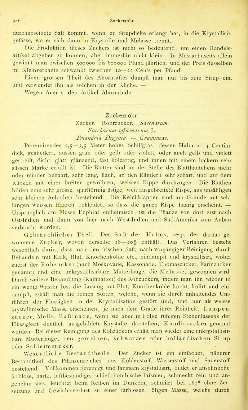 durchgeseihete Saft kommt, wenn er Sirupdicke erlangt hat, in die Krystallisir- gefässe, wo er sich dann in Krystalle und Melasse trennt. Die Produktion dieses Zuckers ist nicht so bedeutend, um einen Handels- artikel abgeben zu können, aber immerhin nicht klein. In Massachusetts allein gewinnt man zwischen 500000 bis 600000 Pfund jährlich, und der Preis desselben im Kleinverkaufe schwankt zwischen 10—22 Cents per Pfund. Einen grossen Theil des Ahornsaftes dampft man nur bis zum Sirup ein, und verwendet ihn als solchen in der Küche. — Wegen Acer s. den Artikel Ahornrinde. Zuckerrohr. Zucker. Rohrzucker. Sacchariim. Saccharutn officinanitn L. Triandria Digynia. — Gramirieae. Perennirendes 2,5—3,5 Meter hohes Schilfgras, dessen Halm 2—4 Centim. dick, gegliedert, aussen grün oder gelb oder violett, oder auch gelb und violett gestreift, dicht, glatt, glänzend, fast holzartig, und innen mit einem lockern sehr süssen Marke erfüllt ist. Die Blätter sind an der Stelle des Blatthäutchens mehr oder minder behaart, sehr lang, flach, an den Rändern sehr scharf, und auf dem Rücken mit einer breiten gewölbten, weissen Rippe durchzogen. Die Blüthen bilden eine sehr grosse, quirlförmig ästige, weit ausgebreitete Rispe, aus unzähligen sehr kleinen Aehrchen bestehend. Die Kelchklappen sind am Grunde mit sehr langen weissen Haaren bekleidet, so dass die ganze Rispe haarig erscheint. — Ursprünglich am Flusse Euphrat einheimisch, ist die Pflanze von dort erst nach Ost-Indien und dann von hier nach West-Indien und Süd-Amerika zum Anbau verbracht worden. Gebräuchlicher Theil. Der Saft des Halms, resp. der daraus ge- wonnene Zucker, wovon derselbe 18—2o{{- enthält. Das Verfahren besteht wesentlich darin, dass man den frischen Saft, nach vorgängiger Reinigung durch Behandeln mit Kalk, Blut, Knochenkohle etc., eindampft und krystallisirt, wobei zuerst der Rohzucker (auch Moskovade, Kassonade, Thomaszucker, Farinzucker genannt) und eine unkrystallisirbare Mutterlauge, die Melasse, gewonnen wird. Durch weitere Behandlung (Raffination) des Rohzuckers, indem man ihn wieder in ein wenig Wasser löst die Lösung mit Blut, Knochenkohle kocht, kolirt und ein- dampft, erhält man die reinen Sorten, welche, wenn sie durch anhaltendes Um- rühren der Flüssigkeit in der Krystallisation gestört sind, und nur als weisse krystaUinische Masse erscheinen, je nach dem Grade ihrer Reinheit: Lumpen- zucker, Melis, Raffinade, wenn sie aber in Folge ruhigen Stehenlassens der Flüssigkeit deutlich ausgebildete Krystalle darstellen, Kandiszucker genannt werden. Bei dieser Reinigung des Rohzuckers erhält man wieder eine unkrystallisir- bare Mutterlauge, den gemeinen, schwarzen oder holländischen Sirup oder Schleim Zucker. Wesentliche Bestandtheile. Der Zucker ist ein einfacher, näherer Bestandtheil des Pflanzenreiches, aus Kohlenstoff, Wasserstoff und Sauerstoff bestehend. Vollkommen gereinigt und langsam krystallisirt, bildet er ansehnliche farblose, harte, luftbeständige, schief rhombische Prismen, schmeckt rein und an- genehm süss, leuchtet beim Reiben im Dunkeln, schmilzt bei 160 ohne Zer- setzung und Gewichtsverlust zu einer farblosen, öHgen Masse, welche durch