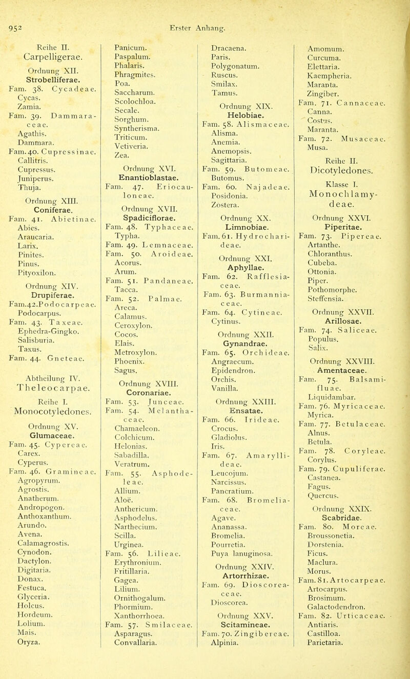 Reihe H. Carpelligerae. Ordnung XII. Strobelliferae. Farn. 38. Cycadeae. Cycas. Zamia. Fam. 39. Dammara- c e ae. Agathis. Damtnara. Fam.40. Cupressinae. Callitris. Cupressus. Juniperus. Thuja. Ordnung XIH. Coniferae. Fam. 41. Abietinae. Abies. Araucaria. Larix. Pinites. Pinus. Pityoxilon. Ordnung XIV. Drupiferae. Fam.42.Podo ca rpe ae. Podocarpus. Fam. 43. Taxeae. Ephedra-Gingko. Salisburia. Taxus. Fam. 44. Gneteae. Abtheilung IV. Theleocarpae. Reihe I. Monocotyledones. Ordnung XV. Glumaceae. Fam. 45. Cypereae. Carex. Cyperus. Fam. 46. Gramine ae. Agropyrum. Agrostis. Anatheruni. Andropogon. Anthoxanthum. Arundo. Avena. Calamagrostis. Cynodon. Dactylon. Digitaria. Donax. Festuca. Glyceria. Hoicus. Hordeum. Lolium. Mais. Oryza. Panicum. Paspalum. Phalaris. Phragmites. Poa. Saccharum. Scolochloa. Seeale. Sorghum. Syntherisma. Triticum. Vetiveria. Zea. Ordnung XVI. Enantioblastae. Fam. 47. Erioeau- loneae. Ordnung XVII. Spadiciflorae. Fam. 48. Typhaceae. Typha. Fam. 49. Lemnaceae. Fam. 50. Aroideae. Acorus. Arum. Fam. 51. Pandaneae. Tacca. Fam. 52. Palmae. Areca. Calamus. Ceroxylon. Cocos. Elais. Metroxylon. Phoenix. Sagus. Ordnung XVIII. Coronariae. Fam. 53. Junceae. Fam. 54. Melantha- c e ae. Chamaeleon. Colchicum. Helonias. Sabadilla. Veratrum. F'am. 55. Asphode- le ae. Allium. Aloe. Anthericum. Asphodelus. Narthecium. Scilla. Urginea. Fam. 56. Lilieae. Erythronium. Fritillaria. Gagea. Lilium. Ornithogalum. Phormium. Xanthorrhoea. Fam. 57. Smilaceae. Asparagus. Convallaria. Dracaena. Paris. Polygonatum. - Ruscus. Smilax. Tamus. Ordnung XIX. Helobiae. Fam. 58. Alismaceae. Alisma. Anemia. Anemopsis. Sagittaria. Fam. 59. Butomeae. Butomus. Fam. 60. Najadeae. Posidonia. Zostera. Ordnung XX. Limnobiae. F'am. 61. Hy d r o ch a r i- deae. Ordnung XXI. Aphyllae. Fam. 62. Rafflesia- ceae. Fam. 63. Burmannia- c e ae. Fam. 64. Cytineae. Cytinus. Ordnung XXII. Gynandrae. Fam. 65. Orchideae. Angraecum. Epidendron. Orchis. Vanilla. Ordnung XXIII. Ensatae. Fam. 66. Irideae. Crocus. Gladiolus. Iris. Fam. 67. Amarylli- deae. Leucojum. Narcissus. Pancratium. Fam. 68. Bromelia- ceae. Agave. Ananassa. Bromelia. Pourretia. Puya lanuginosa. Ordnung XXIV. Artorrhizae. Fam. 69. Dioscorea- ce ae. Dioscorea. Ordnung XXV. Scitamineae. Fam. 70. Zingib ereae. Alpinia. Amomum. Curcuma. Elettaria. Kaempheria. Maranta. Zingiber. Fam. 71. Cannaceae. Canna. Costus. Maranta. Fam. 72. Musaceae. Musa. Reihe II. Dicotyledoncs. Klasse I. Monochlamy- d eae. Ordnung XXVI. Piperitae. Fam. 73. Piper eae. Artanthe. Chloranthus. Cubeba. Ottonia. Piper. Pothomorphe. Steffensia. Ordnung XXVII. Arillosae. Fam. 74. Saliceae. Populus. Salix. Ordnung XXVIII. Amentaceae. Fam. 75. Balsami- fl u ae. Liquidambar. Fam. 76. Myricaceae. Myrica. Fam. 77. Bctulaceae. Alnus. Betula. Fam. 78. Coryleae. Corylus. Fam. 79. Cupulifcrae. Castanea. Fagus. Quercus. Ordnung XXIX. Scabridae. Fam. 80. Moreae. Broussonetia. Dorstenia. Ficus. Maclura. Morus. Fam. Si.Artocarpeae. Artocarpus. Brosimum. Galactodendron. Fam. 82. Urticaceae. Antiaris. Castilloa. Parietaria.
