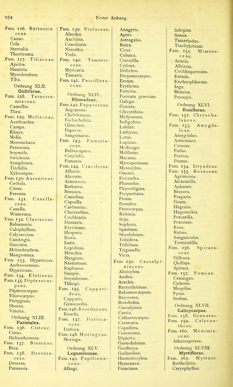 Fam. 126. Büttneria ceae. Cacao. Cola. Sterculia. Theobroma. Fam. 127. Tiliaceae. Apeiba. Humiria. Myrodendron. Tilia. Ordnung XLII. Gultiferae. Fam. 128. Temströ- mia ceae. Camellia. Thea. Fam. 129. Meliaceae. Azadirachta. Carapa. Khaya. Melia. Moronobaea. Persoonia. Soymida. Swietenia. Symphonia. Trichilia. Xylocarpus. Fam. 130. Aurantieae. Cedrela. Citrus. Feronia. Fam. 131. Canella- cea e. Canella. Winterana. Fam. 132. Clusiaceae. Balsamaria. Calophyllum. Calysaccion. Cambogia. Garcinia. Hebradendron. Mangostana. Fam. 133. Hypericeae. Androsaemum. Hypericum. Fam. 134. Elatineae. Fam. 135. Dipterocar- pea e. Dipterocarpus. Elaeocarpus. Pterygium. Shorea. Vateria. Ordnung XLIH. Parietales. Fam. 136. Cisteae. Cistus. Helianthemum. Fam. 137. Bixaceae. Bixa. Fam. 138. Drosera- ceae. Drosera. Parnassia. Fam. 139. Violaceae. Alsodea. Anchieta. Conohoria. Noiseltia. Viola. Fam. 140. Tamaris- ceae. Myricaria. Tamarix. Fam. 141. Passiflora- c e ae. Ordnung XLIV. Rhoeadeae. Fam. l42.Papavcreae. Argemone. Chelidoniuni. Eschscholzia. Glaucium. Papaver. Sanguinaria. Fam. 143. Fumaria- ceae. Bulbocapnos. Corydalis. Fumaria. Fam. 144. Crucifcrae. Alliaria. Alyssum. Armoracia. Barbarea. Brassica. Camelina. Capsella. Cardamine. Cheiranthus. Cochlearia. Dentaria. Erysimum. Hesperis. Iberis. Isatis. Lepidium. Mönchia. Myagrum. Nasturtium. Raphanus. Sinapis. Sisymbrium. Thlaspi. Fam. 145. Cappari- deae. Capparis. Gynocardia. Fam. 146. Resedaceae. Reseda. Fam. 147. Datisca- c e a e. Datisca. Fam. 148. M ori ngeae. Moringa. Ordnung XLV. Leguminosae. Fam. 149. Papiliona- c e a e. Alhagi. Anagyris. Apios. Astragalus. Butea. Cicer. Colutea. Coronilla. Cytisus. Dolichos. Drepanocarpus. Eroum. Erythrina. Ferreira. Foenum graecum. Galega. Genista. Glycyrrhiza. Hedysarum. Indigofera. Lablab. Lathyrus. Lotus. Lupinus. Medicago. Melilotus. Mucuna. Myrospermum. Myroxylon. Ononis. Periandra. Phaseolus. Physostigma. Picquotiana. Pisum. Psoralea. Pterocarpus. Robinia. Soja. Sophora. Spartium. Stizolobium. Toluifera. Trifolium. Trigonella. Vicia. Fam. 150. Caesalpi- ni a c eae. Aloexylon. Andira. Arachis. Bactyrilobium. Balsamocarpum. Baryosma. Bowdichia. Caesalpinia. Cassia. Cathartocarpus. Ceratonia. Copaifera. Cumaruma. Dipterix. Gastrolobium. Geoftroya. Guilandina. Haematoxylon. Hymenaea. Poinciana. Sebipira. Senna. Tamarindus. Trachylobium. Fam. 151. Mimosa- ce ae. Acacia. Albizzia. Cochlospermum. Entada. Erythrophloeum. Inga. Mimosa. Prosopis. Ordnung XLVI. Rosiflorae. Fam. 152. Chrysoba- la n e a e. Fam. 153. Amygda- 1 e a e. Amygdalus. Armeniaca. Cerasus. Padus. Persica. Prunus. Fam. 154. Dryadeae. Fam. 155. Rosaceae. Agrimonia. Alchemilla. Aphanes. Brayera. Fragaria. Geum. Hagenia. Hageneckia. Potentilla. Poterium. Rosa. Rubus. Sanguisorba. Tormentilla. Fam. 156. Spiraea- ceae. Gillenia. Quillaja. Spiraea. Fam. 157. Pom eae. Crataegus. Cydonia. Mespilus. Pyrus. Sorbus. Ordnung XLVII. Calicycarpae. Fam. 158. Granatae. Fam. 159. Calycan- theae. Fam. 160. Monimia- ce ae. Atherosperma. Ordnung XLVHI. Myrtiflorae. Fam. 161. Myrteae. Bertholletia. Caryophyllus.