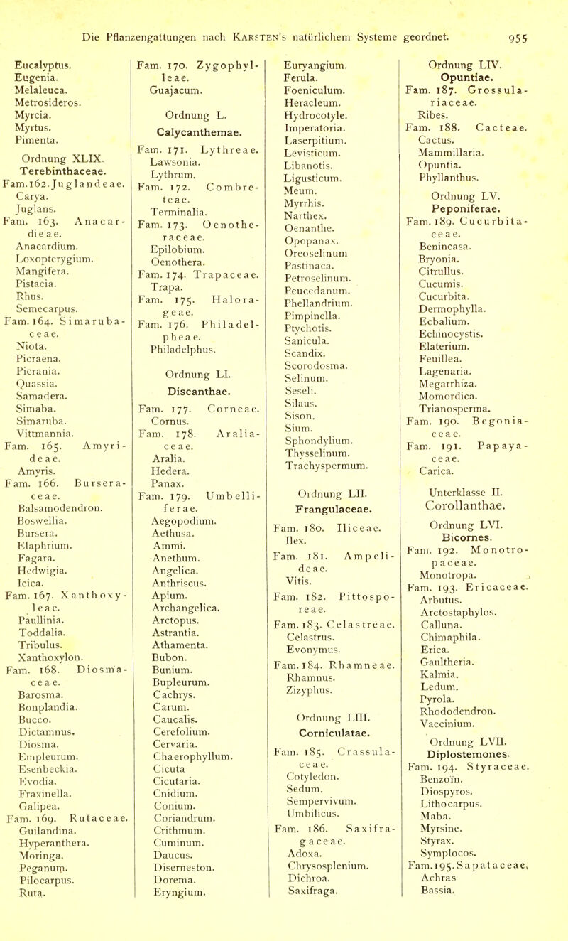 Eucalyptus. Eugenia. Melaleuca. Metrosideros. Myrcia. Myrtus. Pimenta. Ordnung XLIX. Terebinthaceae. Fam.i62.Juglandeae. Carya. Juglans. Fam. 163. Anacar- di e a e. Anacardium. Loxopterygium. Mangifera. Pistacia. Rhus. Semecarpus. Fam. 164. Simaruba- c e ae. Niota. Picraena. Picrania. Quassia. Samadera. Simaba. Simaruba. Vittmannia. Fam. 165. Amyri- deae. Amyris. Fam. 166. Burser a- c e a e. Balsamodendron. Boswellia. Bursera. Elaphrium. Fagara. Hedwigia. Icica. Fam. 167. Xanthoxy- leae. PauUinia. Toddalia. Tribulus. Xanthoxylon. Fam. 168. Diosma- cea e. Barosma. Bonplandia. Bucco. Dictamnus. Diosma. Empleurum. Esenbeckia. Evodia. Fraxinella. Galipea. Fam. 169. Rutaceae. Guilandina. Hyperanthera. Moringa. Peganum. Pilocarpus. Rut^. Fam. 170. Zygophyl- leae. Guajacum. Ordnung L. Calycanthemae. Fam. 171. Lythreae. Lawsonia. Lytlirum. Fam. 172. Combre- teae. Terminalia. Fam. 173. 0 enothe- raceae. Epilobium. Oenothera. Fam. 174. Trapaceae. Trapa. Fam. 175. Halora- g e ae. Fam. 176. Philadel- phea e. Philadelphus. Ordnung LI. Discanthae. Fam. 177. Corneae. Cornus. Fam. 178. Aralia- c e a e. Aralia. Hedera. Panax. Fam. 179. Umbelli- f e r ae. Aegopodium. Aethusa. Ammi. Anethum. Angelica. Anthriscus. Apium. Archangelica. Arctopus. Astrantia. Athamenta. Bubon. Bunium. Bupleurum. Cachrys. Carum. Caucalis. Cerefolium. Cervaria. Chaerophylluni. Cicuta Cicutaria. Cnidium. Conium. Coriandrum. Crithmum. Cuminum. Daucus. Diserneston. Dorema. Eryngium. Euryangium. Ferula. Foeniculum. Heracleum. Hydrocotyle. Imperatoria. Laserpitiuni. Levisticum. Libanotis. Ligusticum. Meum. Myrrhis. Nartbex. Oenanthe. Opopanax. Oreoselinum Pastinaca. Petroselinum. Peucedanum. Phellandrium. Pimpinella. Ptychotis. Sanicula. Scandix. Scorodosma. Selinum. Seseli. Silaus. Sison. Sium. Sphondylium. Thysselinum. Trachyspermum. Ordnung LIL Frangulaceae. Fam. 180. Iliceae. Hex. Fam. 181. Ampeli- deae. Vitis. Fam. 182. Pittospo- re a e. Fam. 183. Celastreae. Celastrus. Evonymus. Fam. 184. Rhamneae. Rhamnus. Zizyphus. Ordnung LIIL Corniculatae. Fam. 185. Crassula- c e a e. Cotyledon. Sedum. Sempervivum. Umbilicus. Fam. 186. Saxifra- g a ce ae. Adoxa. Chrysosplenium. Dichroa. Saxifraga. Ordnung LIV. Opuntiae. Fam. 187. Grossula- riaceae. Ribes. Fam. 188. Cacteae. Cactus. Mammillaria. Opuntia. Phyllanthus. Ordnung LV. Peponiferae. Fam. 189. Cucurbita- c e a e. Benincasa. Bryonia. Citrullus. Cucumis. Cucurbita. Dermophylla, Ecbalium. Echinocystis. Elaterium. Feuillea. Lagenaria. Megarrhiza. Momordica. Trianosperma. Fam. 190. Begonia- c e a e. Fam. 191. Papaya- c e ae. Carica. Unterklasse IL Corollanthae. Ordnung LVI. Bicornes. Fam. 192. Monotro- p a ce ae. Monotropa. Fam. 193. Ericaceae. Arbutus. Arctostaphylos. Calluna. Chimaphila. Erica. Gauitheria. Kalmia. Ledum. Pyrola. Rhododendron. Vaccinium. Ordnung LVII. Diplostemones. Fam. 194. Styraceae. Benzoin. Diospyros. Lithocarpus. Maba. Myrsine. Styrax. Symplocos. Fam.l95.Sapataceae, Achras Bassia,