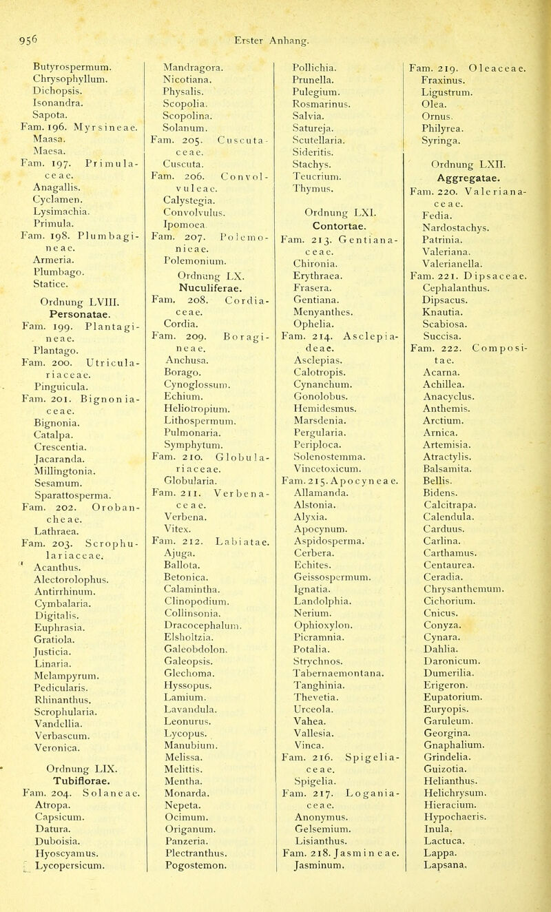 Butyrospermum. Chrysophyllum. Dichopsis. Isonandra. Sapota. Fam. 196. Myrsineae. Maasa. Maesa. Fam. 197. Primiila- c e a e. Anagallis. Cyclamen. Lysimacliia. Primula. Fam. 198. Plumbagi- n e ac. Armeria. Plumbago. Statice. Ordnung LVIII. Personatae. Fam. 199. Plantagi- neae. Plantago. Fam. 200. Utricula- riaceae. Pinguicula. Fam. 201. Bignonia- c e ae. Bignonia. Catalpa. Crescentia. Jacaranda. Millingtonia. Sesamum. Sparattosperma. Fam. 202. Oroban- che ae. Lathraea. Fam. 203. Scrophu- 1 a r i a c e a e. Acanthus. Alectorolophus. Antirrhinum. Cymbalaria. Digitalis. Euphrasia. Gratiola. Justicia. Linaria. Melampyrum. Pedicularis. Rhinanthus. Scropliularia. Vandellia. Verbascum. Veronica. Ordnung LIX. Tubiflorae. Fam. 204. Solaneae. Atropa. Capsicum. Datura. Duboisia. Hyoscyamus. ; Lycopersicum. Mandragora. Nicotiana. Physalis. Scopolia. Scopolina. Solanum. Fam. 205. Cuscuta- c e ae. Cuscuta. Fam. 206. Convol- V u 1 e a c. Calystegia. Convolvulus. Ipomoea. Fam. 207. Poicmn- nieae. Polemonium. Ordnung LX. Nuculiferae. Fam. 208. Cordia- ceae. Cordia. Fam. 209. Boragi- n e a e. Anchusa. Borago. Cynoglossum. Echium. HeliotTopium. Lithospermum. Pulmonaria. Symphytum. Fam. 210. Globula- ri ac eae. Globularia. Fam. 211. Verbena- c e a e. Verbena. Vitex. Fam. 212. Lnljiatae. Ajuga. Ballota. Betonica. Calamintha. Clinopodium. Collinsonia. Dracocephalum. Elsholtzia. Galeobdolon. Galeopsis. Gleclioma. Hyssopus. Lamiuni. Lavandula. Leonurus. Lycopus. Manubiuni. Melissa. Melittis. Mentha. Monarda. Nepeta. Ocimum. Origanum. Panzeria. Plectranthus. Pogostemon. Pollichia. Prunella. Pulegium. Rosmarinus. Salvia. Satureja. Scutellaria. Sideritis. Stachys. Teucrium. Thymus. Ordnung EXI. Contortae. Fam. 213. Gentiana- c e a e. Chironia. Erythraea. Frasera. Gentiana. Menyanthes. Ophelia. Fam. 214. Asclepia- deae. Asclepias. Calotropis. Cynanchum. Gonolobus. Hemidesmus. Marsdenia. Pergularia. Periploca. Solenostemma. Vincetoxicum. Fam. 2l5.Apocyneae. Allamanda. Alstonia. Alyxia. Apocynum. Aspidosperma. Cerbera. Echites. Geissospermum. Ignatia. Landolphia. Nerium. Ophioxylon. Picramnia. Potalia. Strychnos. Tabernaemontana. Tanghinia. Thevetia. Urceola. Vahea. Vallesia. Vinca. Fam. 216. Spigelia- ce ae. Spigelia. Fam. 217. Logania- ceae. Anonymus. Gelsemium. Lisianthus. Fam. 218. J a s m i n eae. Jasminum. Fam. 2ig. Oleaceae. Fraxinus. Ligustrum. Oka. Ornus. Philyrea. Syringa. Ordnung LXII. Aggregatae. Fam. 220. Valeriana- c e a e. Fedia. Nardostachys. Patrinia. Valeriana. Valerianella. Fam. 221. Dipsaceae. Cephalanthus. Dipsacus. Knautia. Scabiosa. Succisa. Fam. 222. Composi- t a e. Acarna. Achillea. Anacyclus. Anthemis. Arctium. Arnica. Artemisia. Atractylis. Balsamita. Bellis. Bidens. Calcitrapa. Calendula. Carduus. Carlina. Carthamus. Centaurea. Ceradia. Chrysanthemum. Cichorium. Cnicus. Conyza. Cynara. Dahlia. Daronicum. Dumerilia. Erigeron. Eupatorium. Euryopis. Garuleum. Georgina. Gnaphalium. Grindelia. Guizotia. Helianthus. Heiichrysum. Hieracium. Hypochaeris. Inula. Lactuca. Lappa. Lapsana.